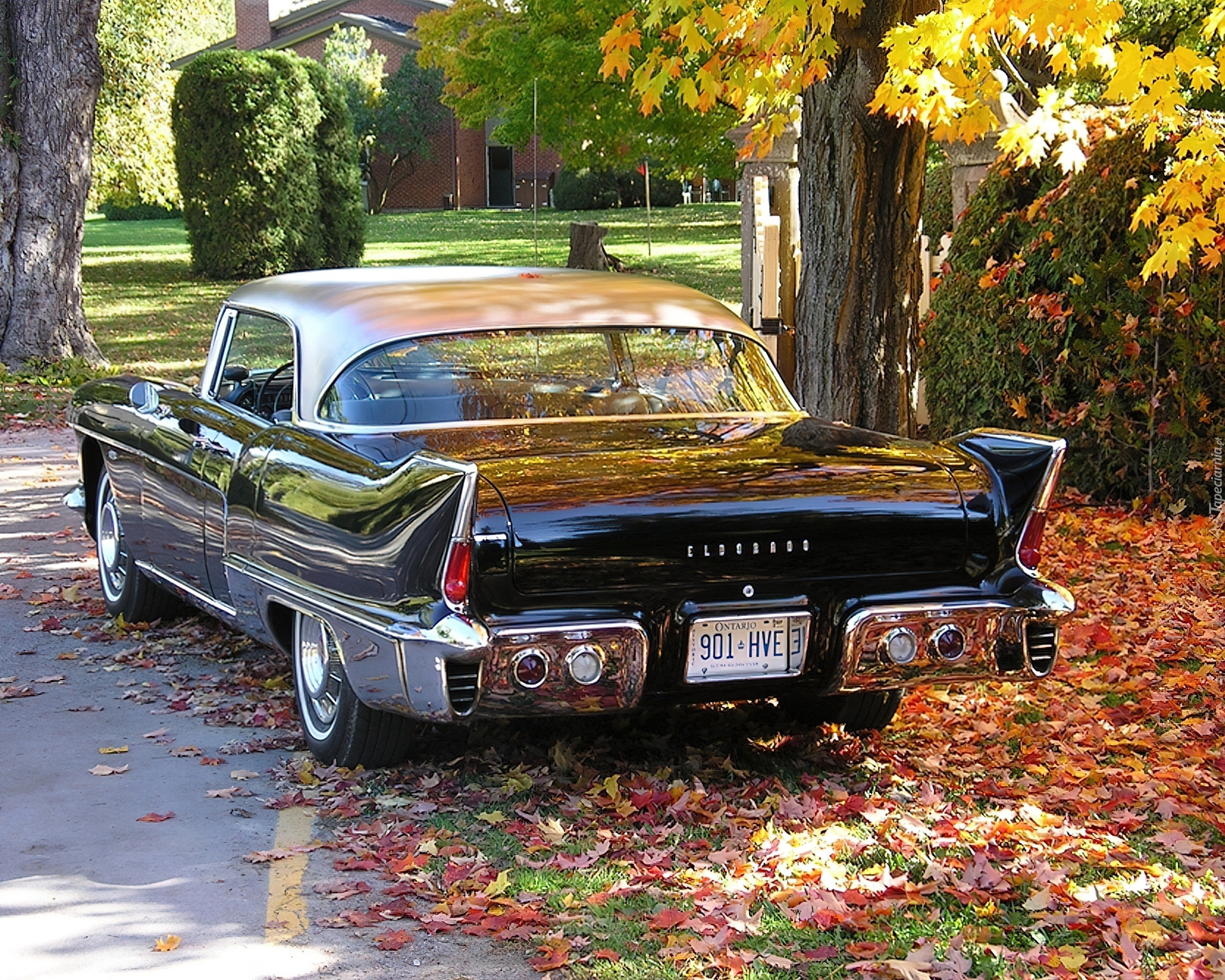 Cadillac, Eldorado, 1956