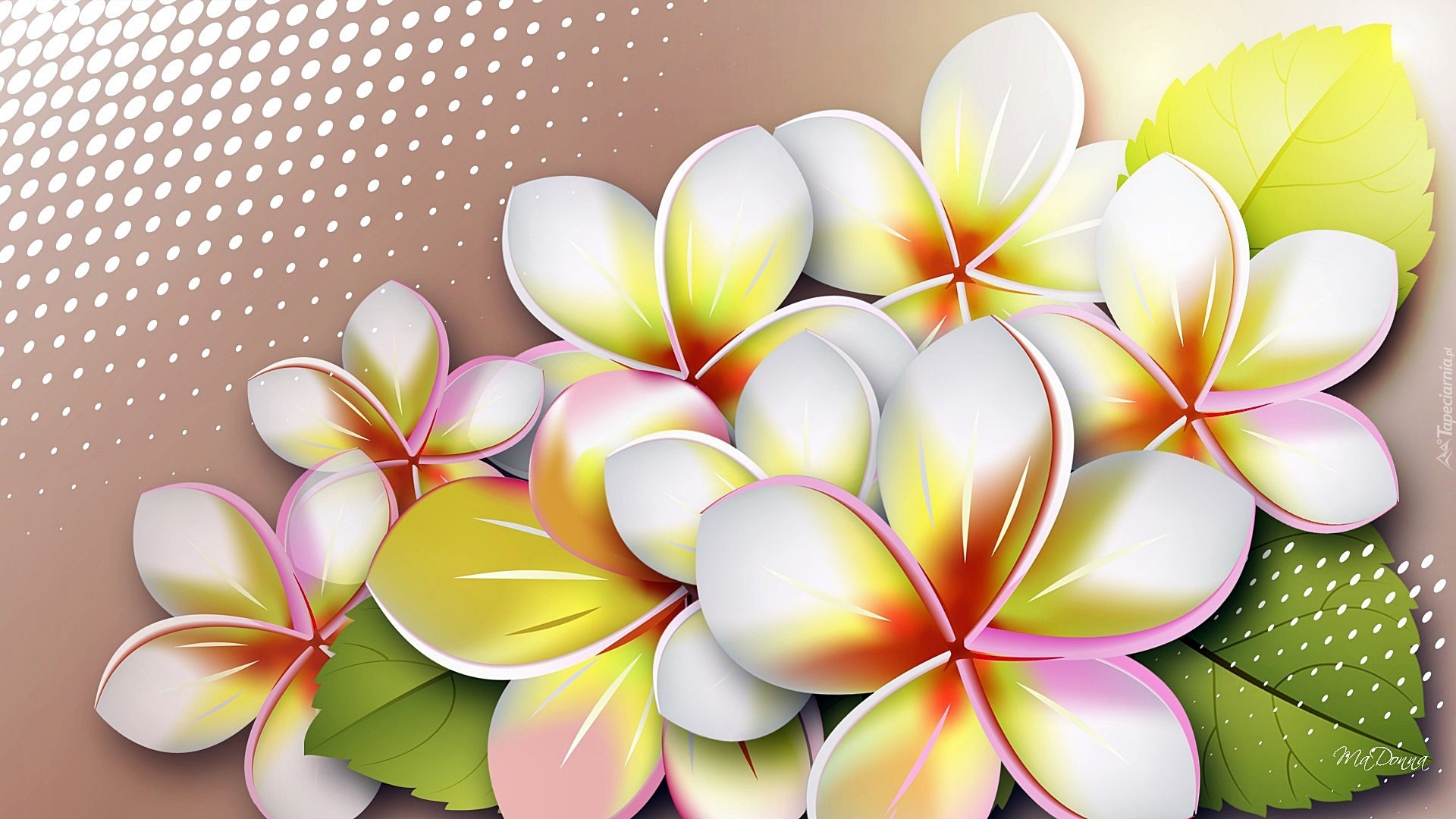 Plumeria, Art