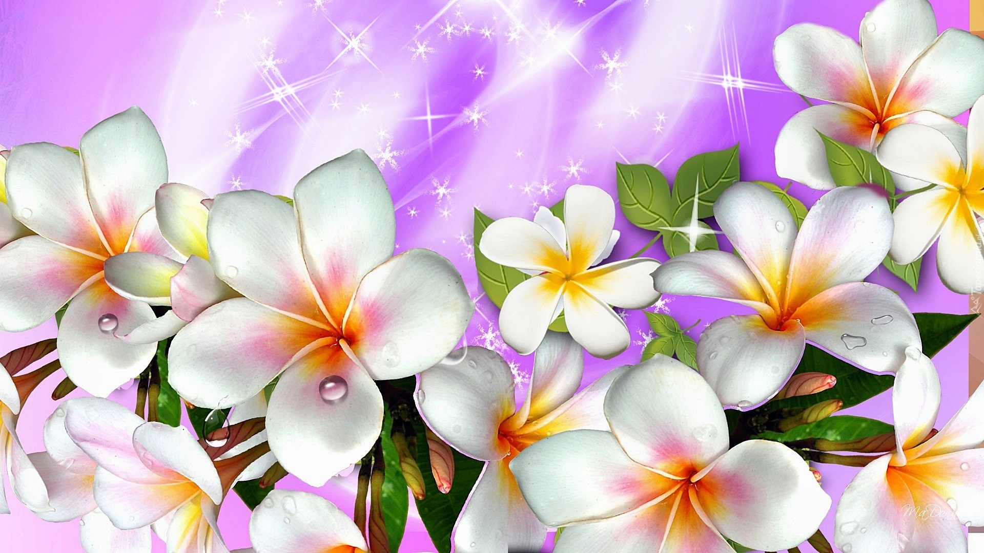 Plumeria, Art