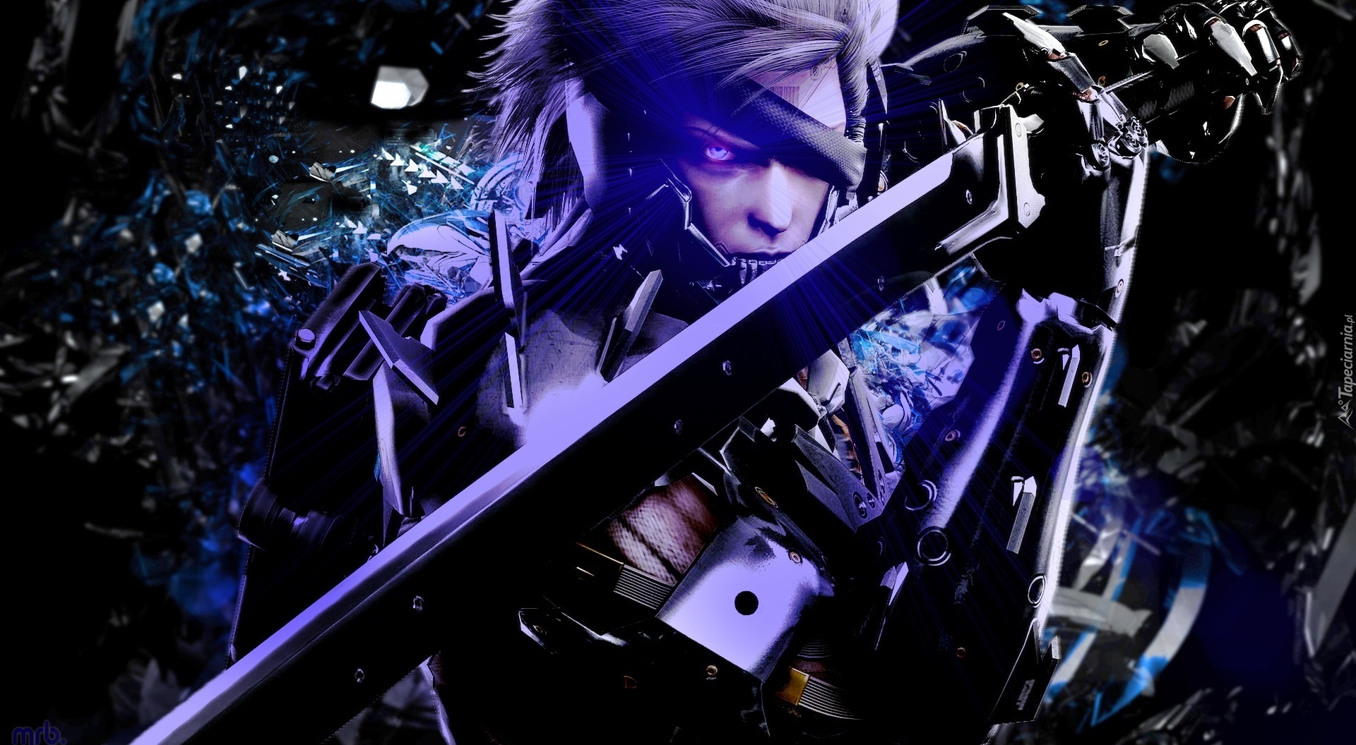 Metal Gear Rising Revengeance, Raiden