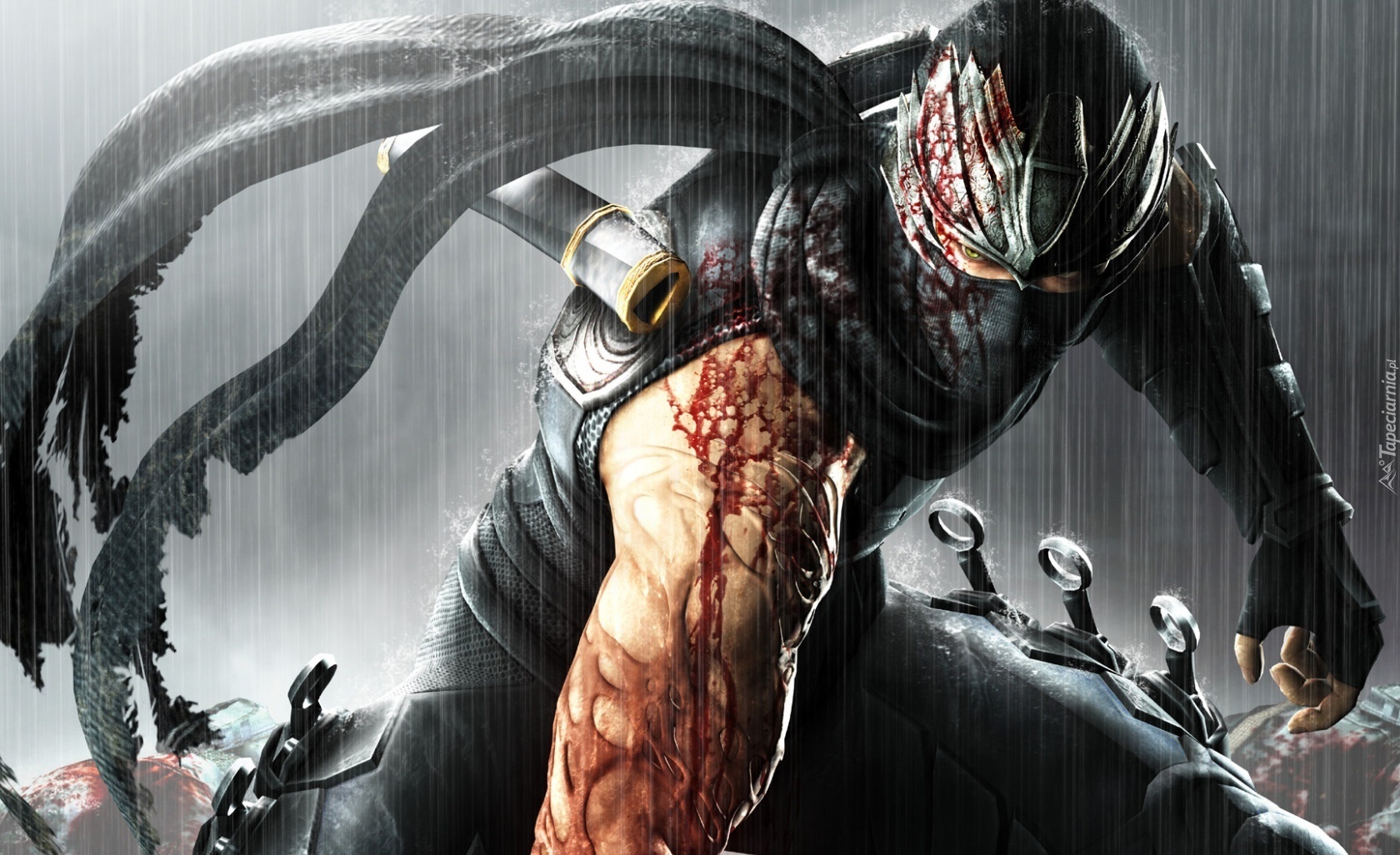 Ninja Gaiden 3