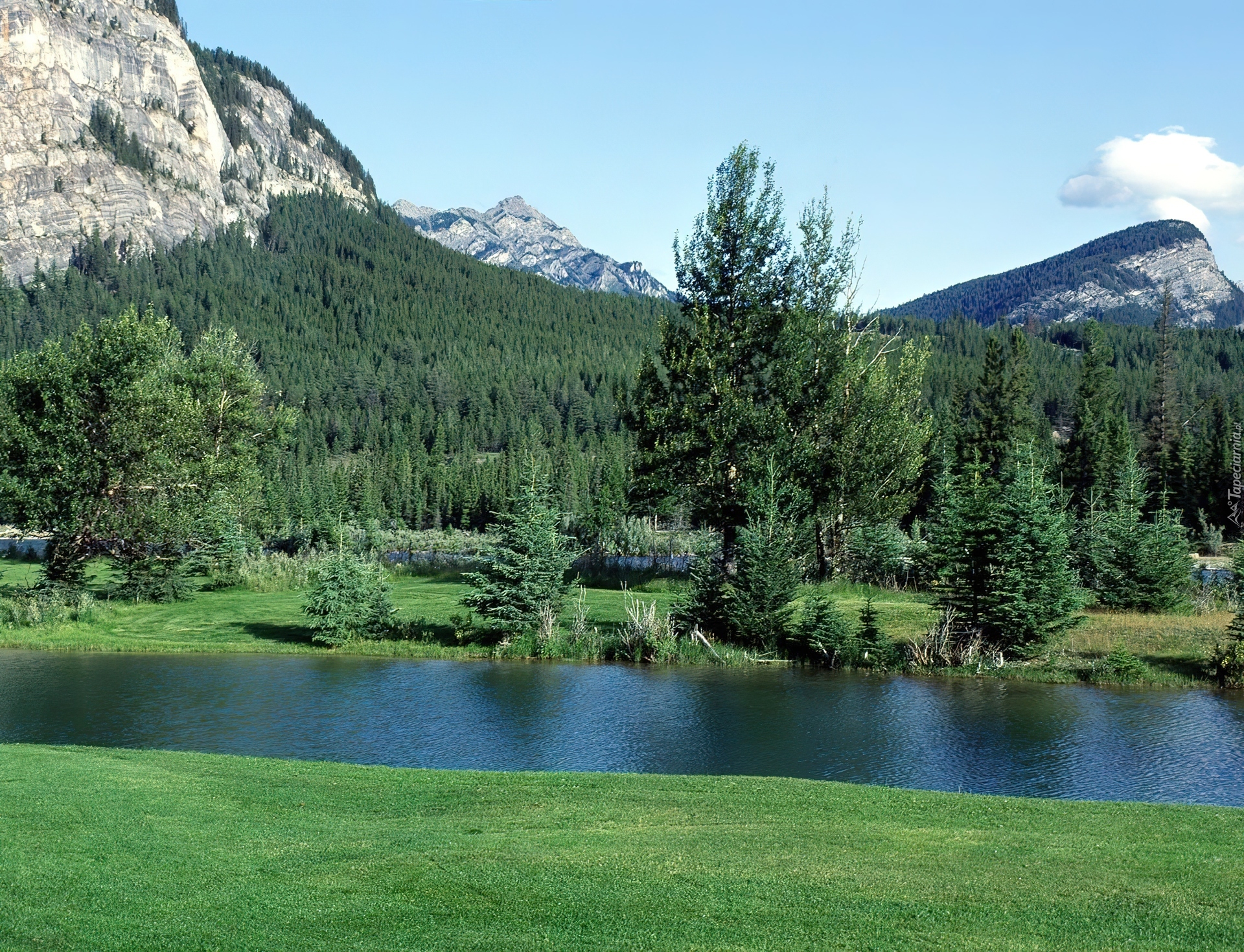 Kanada, Park Narodowy Banff, Góry, Las, Łąka, Woda