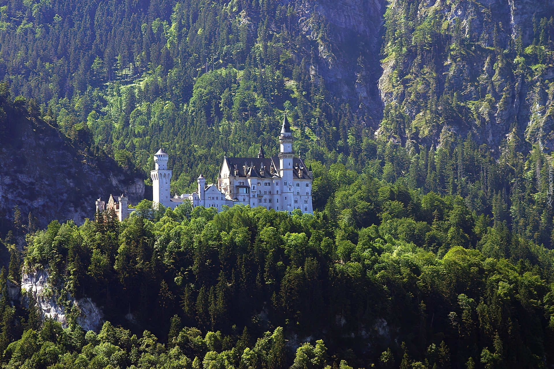 Zamek, Neuschwanstein, Lasy, Góry, Niemcy