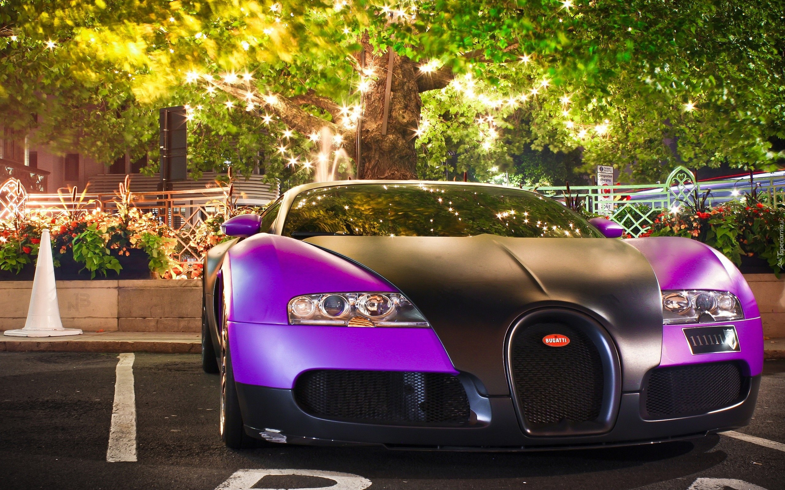 Fioletowy, Bugatti Veyron