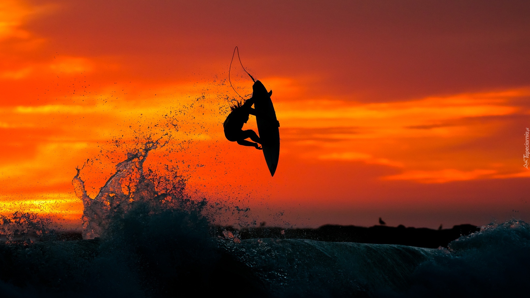 Zachód, Słońca, Morze, Mężczyzna, Surfing