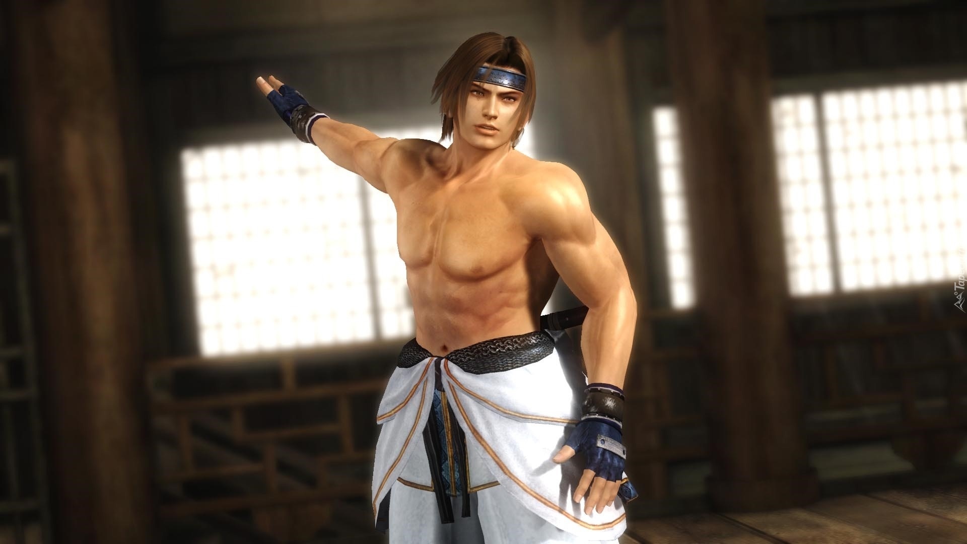 Dead Or Alive 5, Hayate