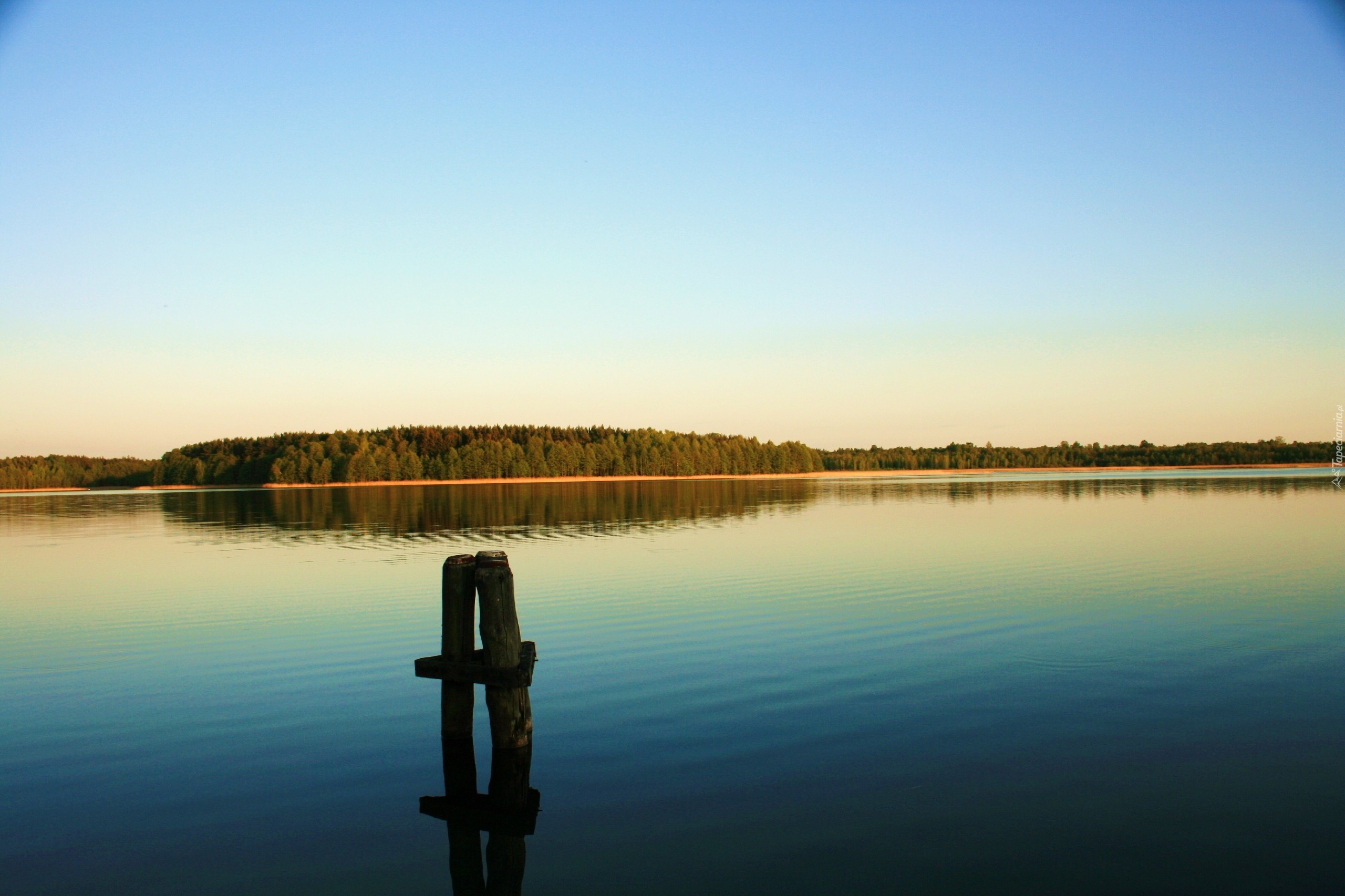 Jezioro, Las, Kołek, Do, Cumowania, Łodzi