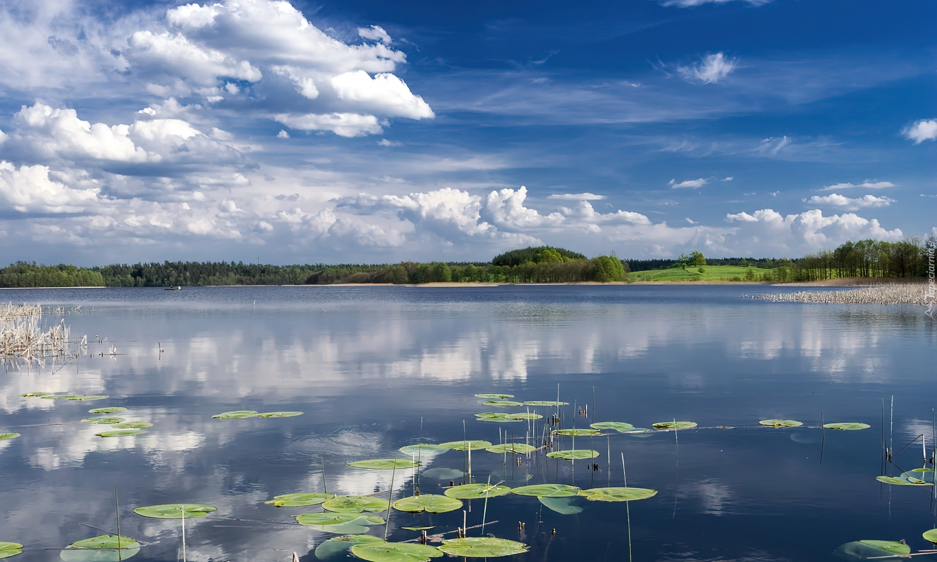 Jezioro, Las, Chmury