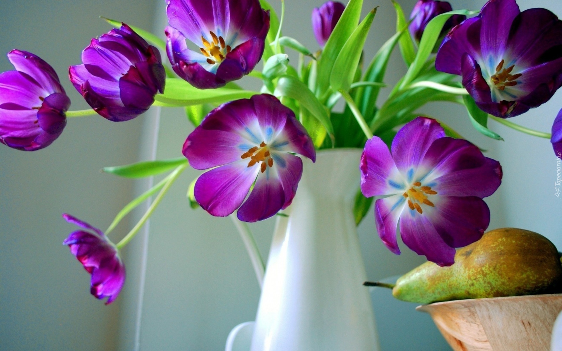природа цветы ваза бесплатно