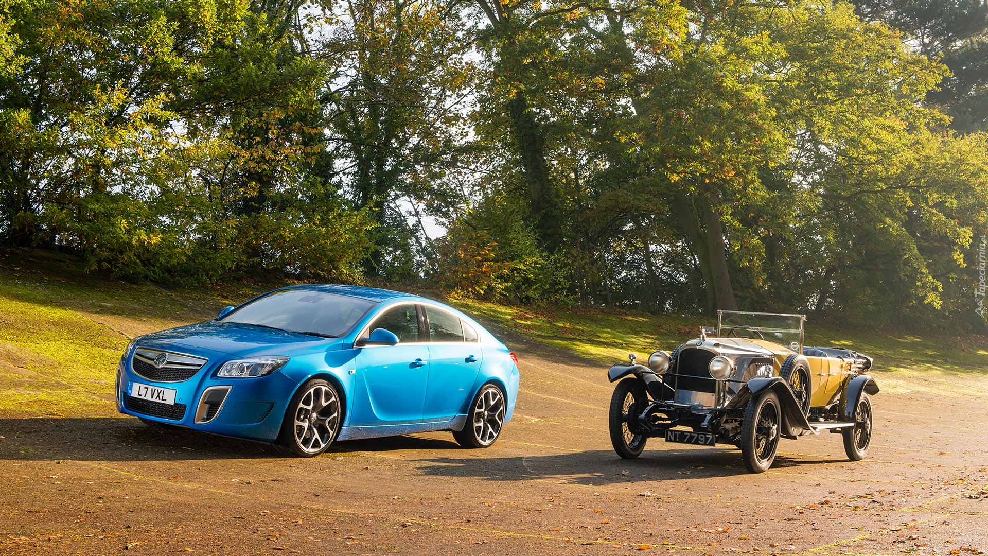 Opel Insignia OPC, Zabytkowy, Zieleń