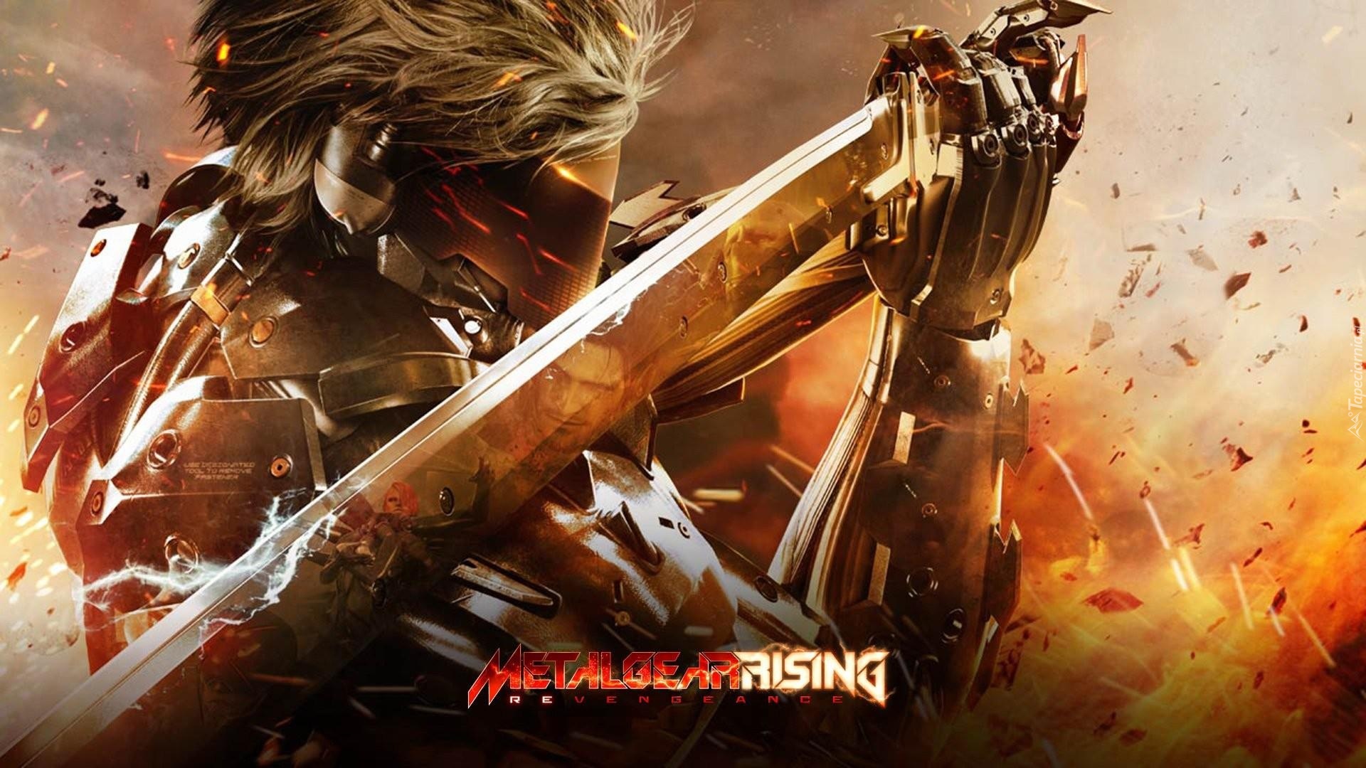 Metal Gear Rising Revengeance, Raiden