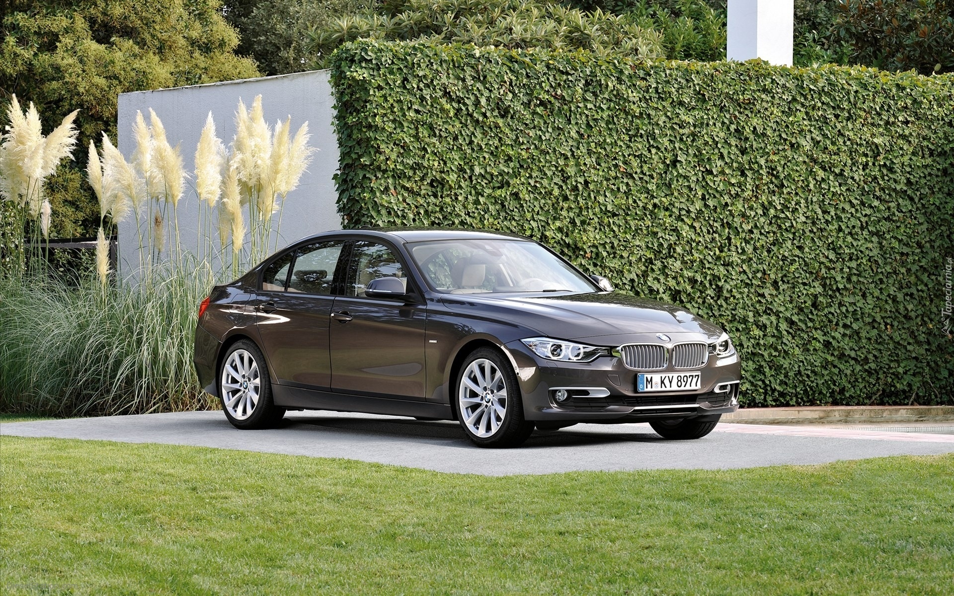 Bmw Seria 3, Model F-30, Ogród, Zieleń