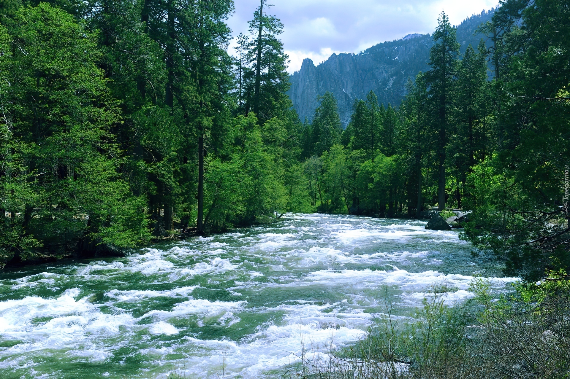 Stany Zjednoczone, Stan Kalifornia, Park Narodowy Yosemite, Rzeka, Las, Góry