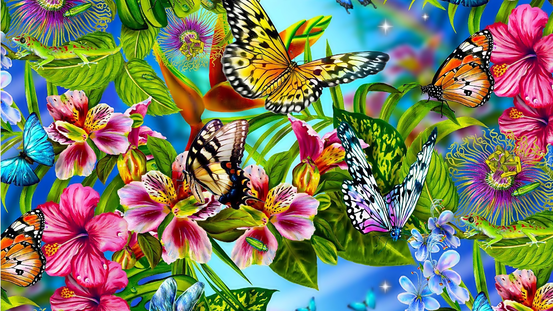 Kolorowe, Kwiaty, Motyle
