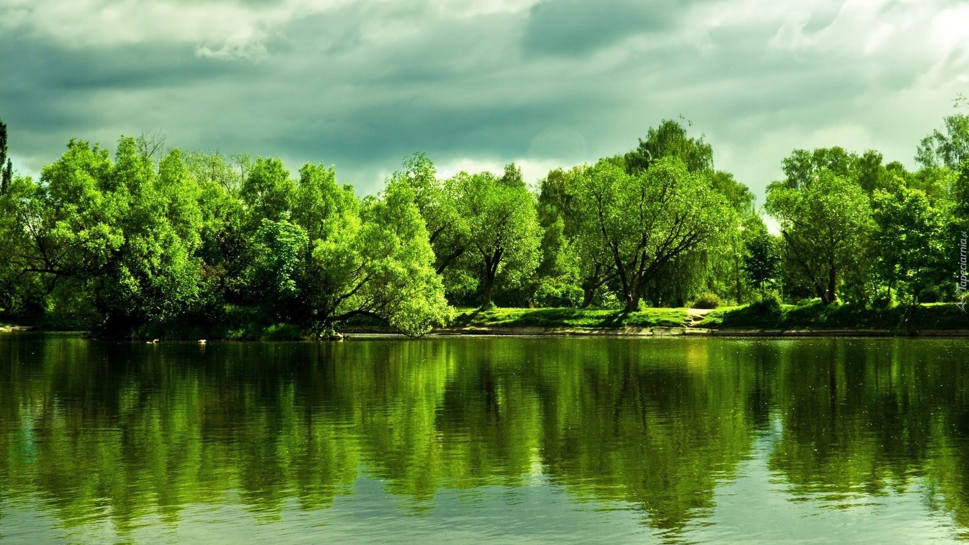 Jezioro, Drzewa, Odbicie