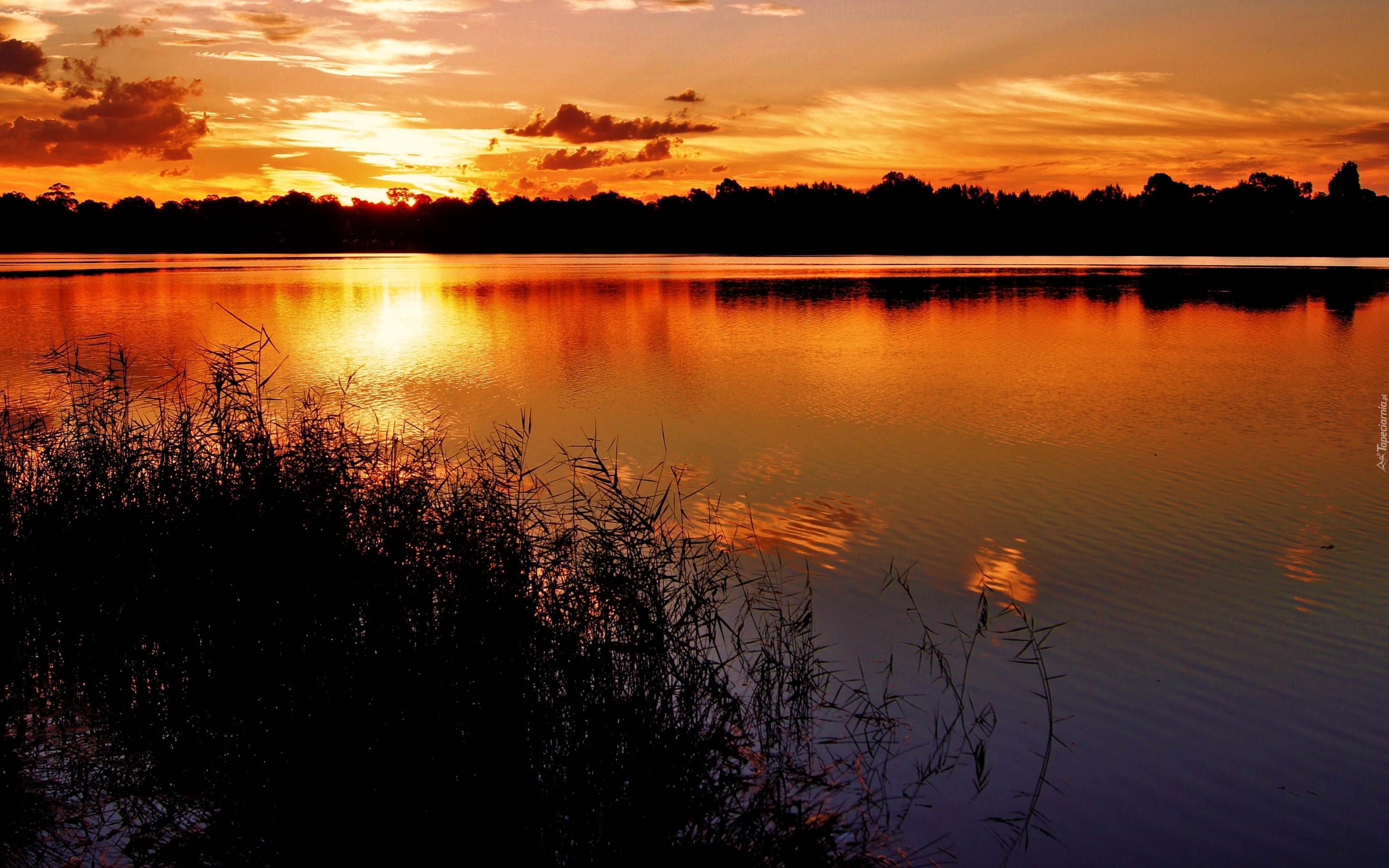 Zachód, Słońca, Las, Jezioro