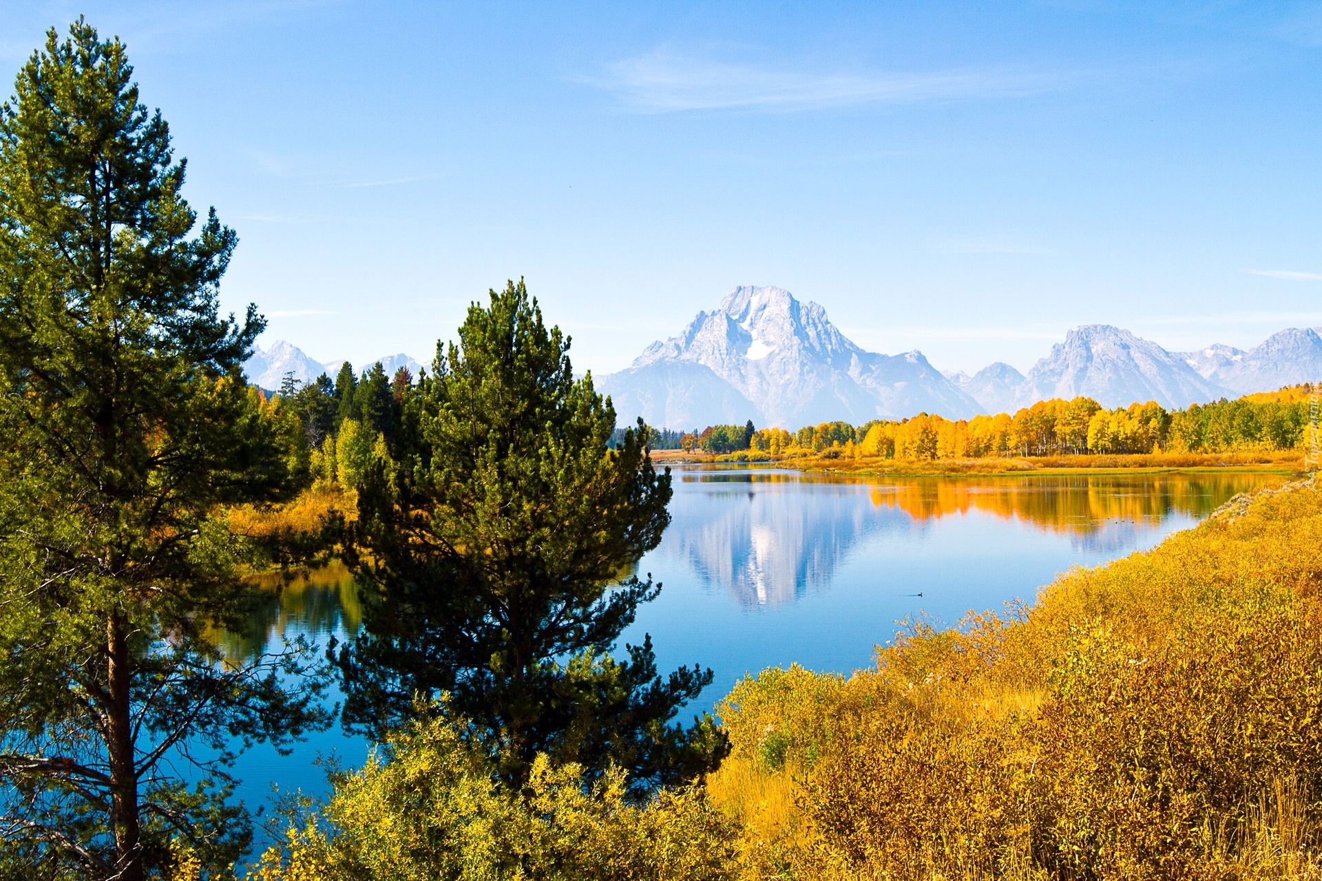 Stany Zjednoczone, Stan Wyoming, Park Narodowy Grand Teton, Rzeka Snake River, Góry, Szczyt Mount Moran, Drzewa