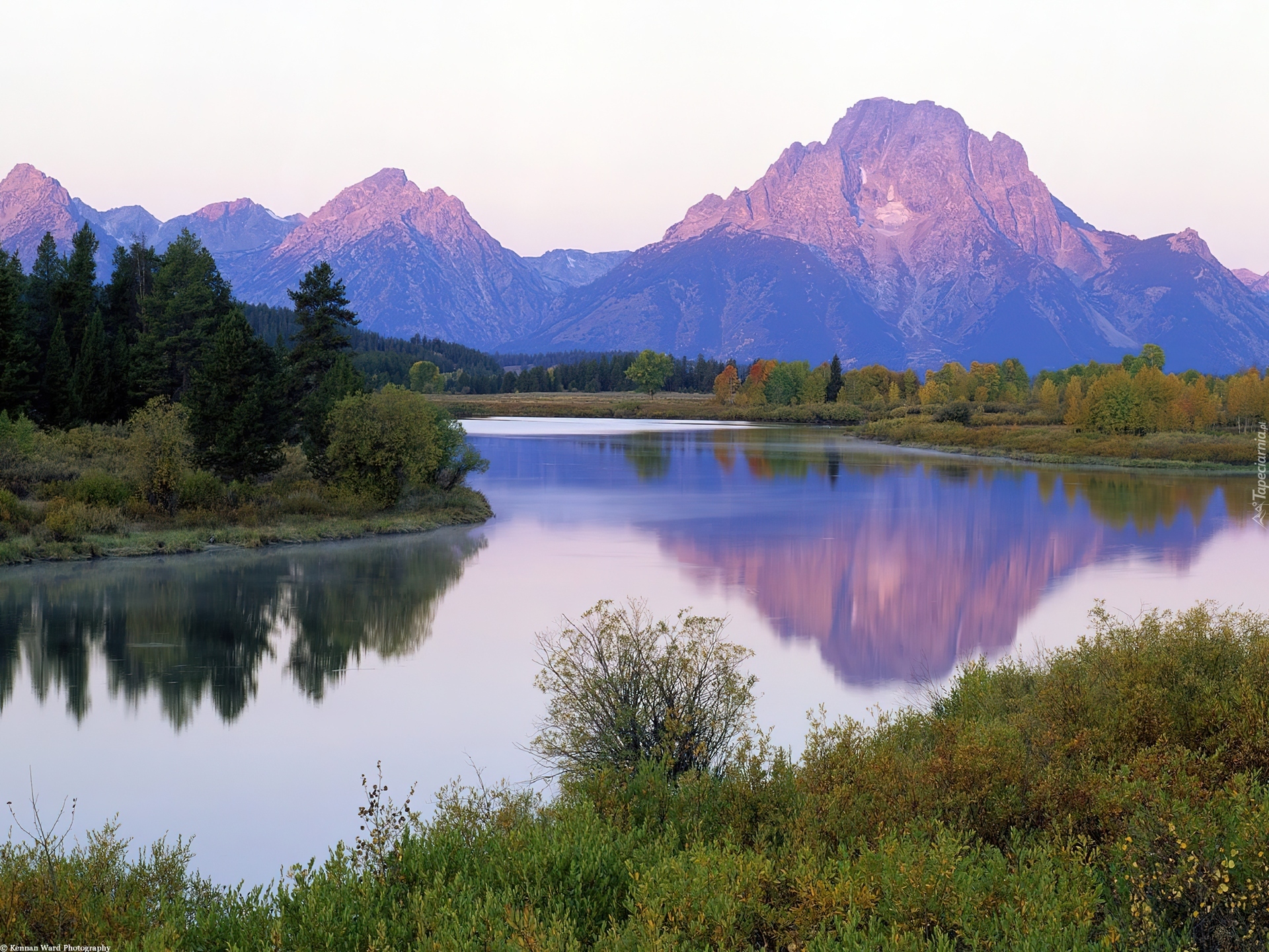 Stany Zjednoczone, Stan Wyoming, Park Narodowy Grand Teton, Rzeka Snake River, Góry, Góra Mount Moran, Drzewa