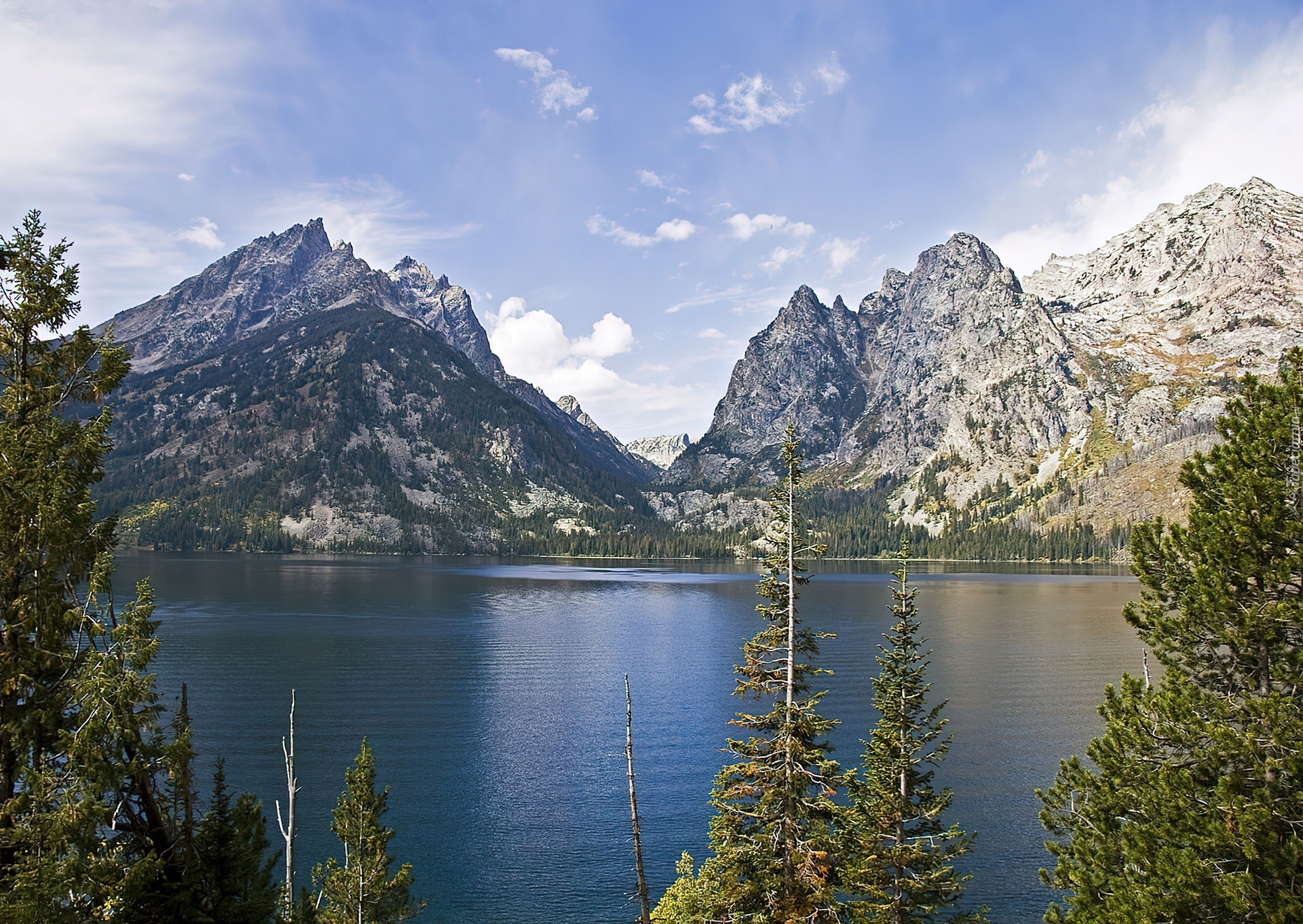 Jezioro, Góry, Drzewa, Jeeny Lake, Wyoming