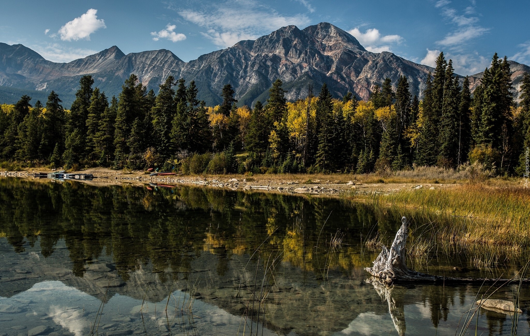 Góry, Las, Rzeka, Alberta, Kanada