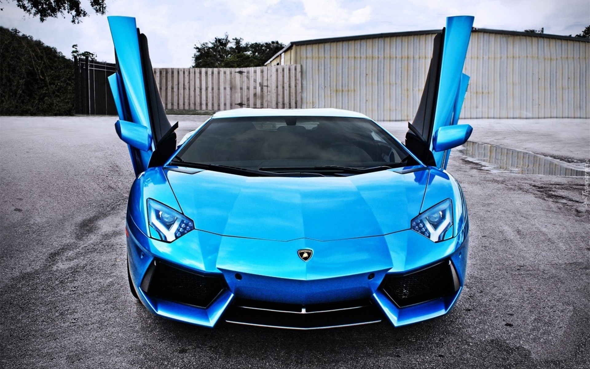 Niebieski, Lamborghini Aventador