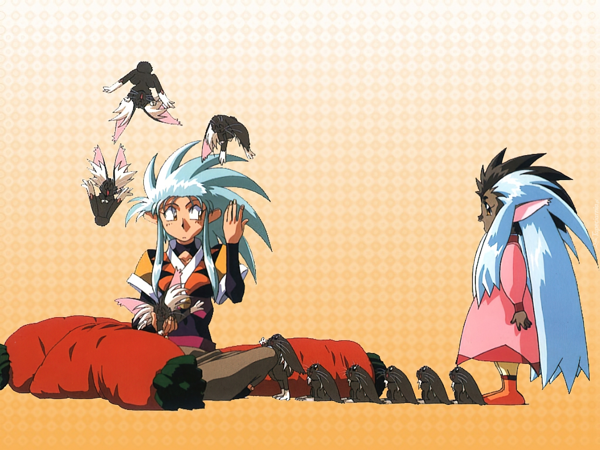 Tenchi Muyo, postacie