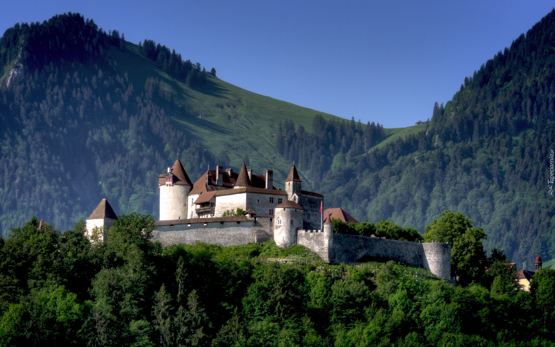 Zamek, Gruyeres, Szwajcaria