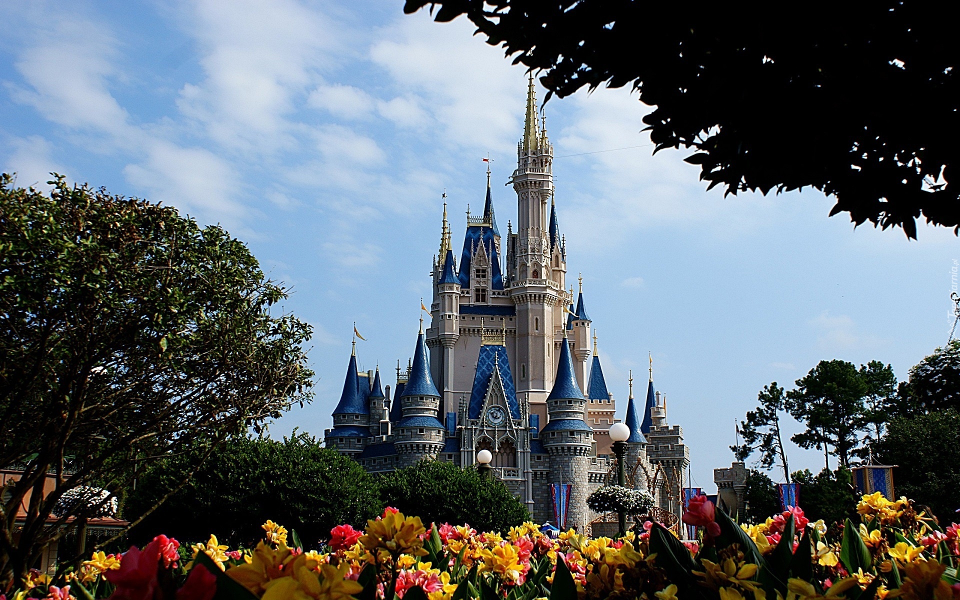 Zamek, Disneyland, Kwiaty