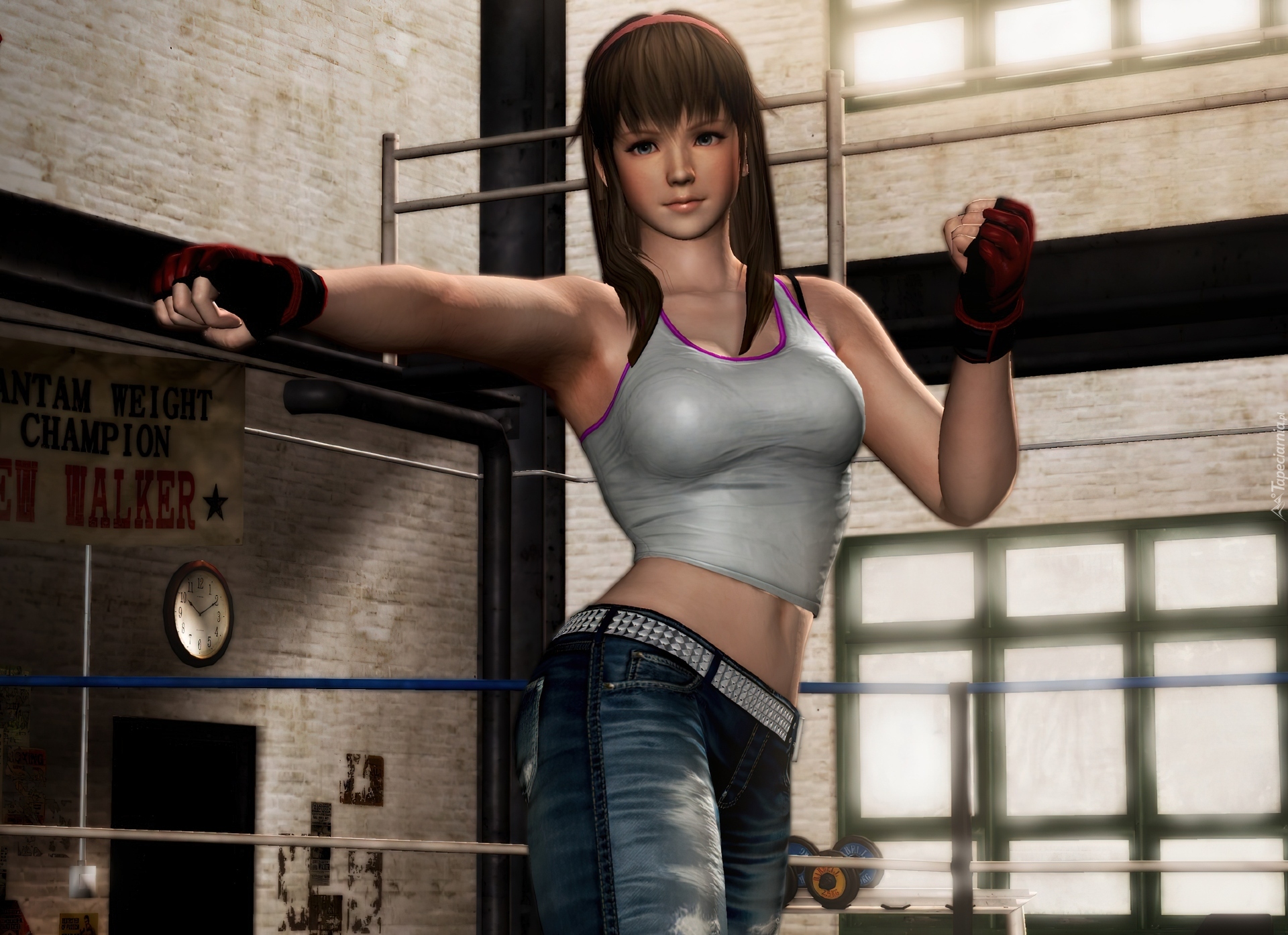 Dead Or Alive 5, Hitomi