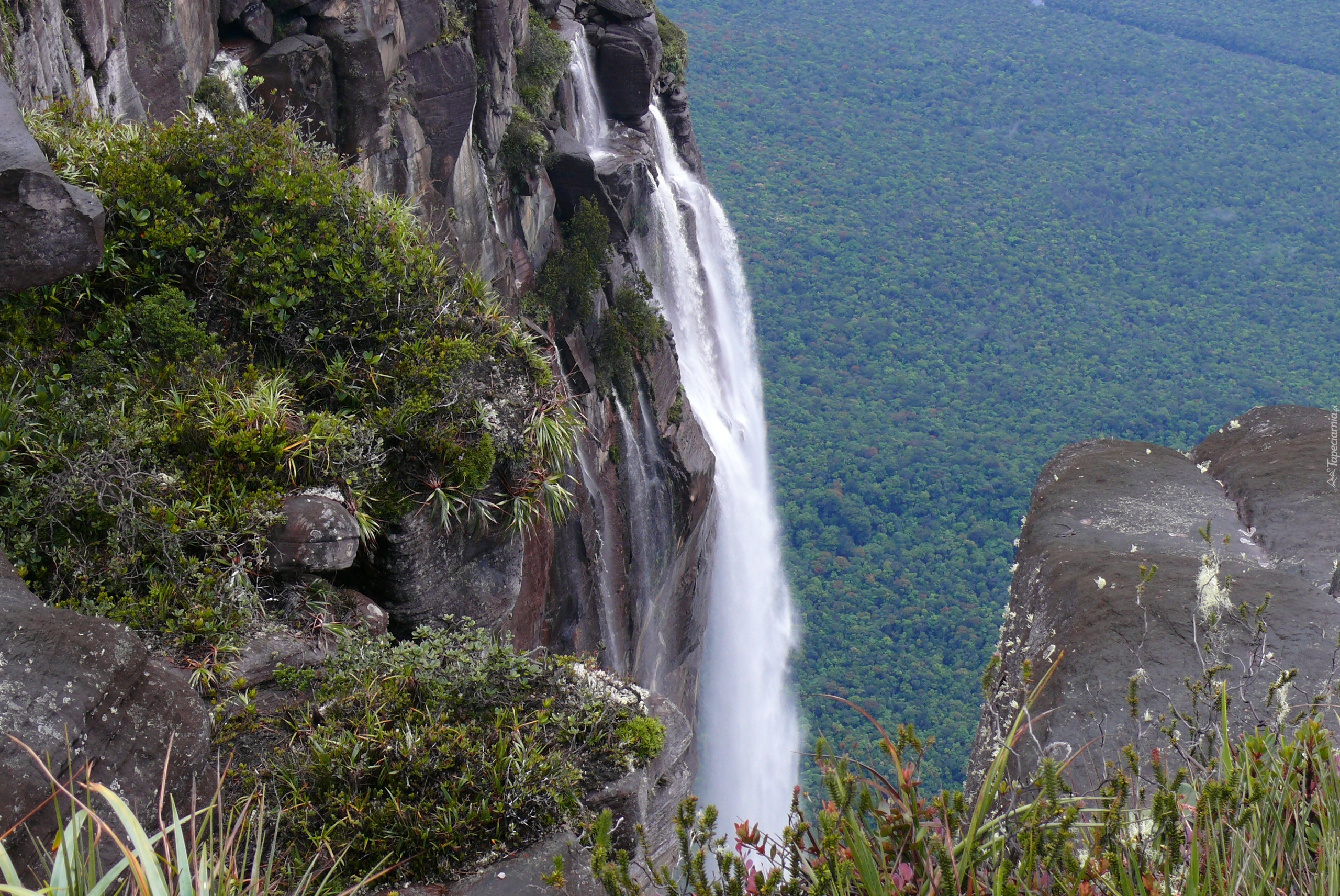 Wodospad, Salto Angel, Wenezuela