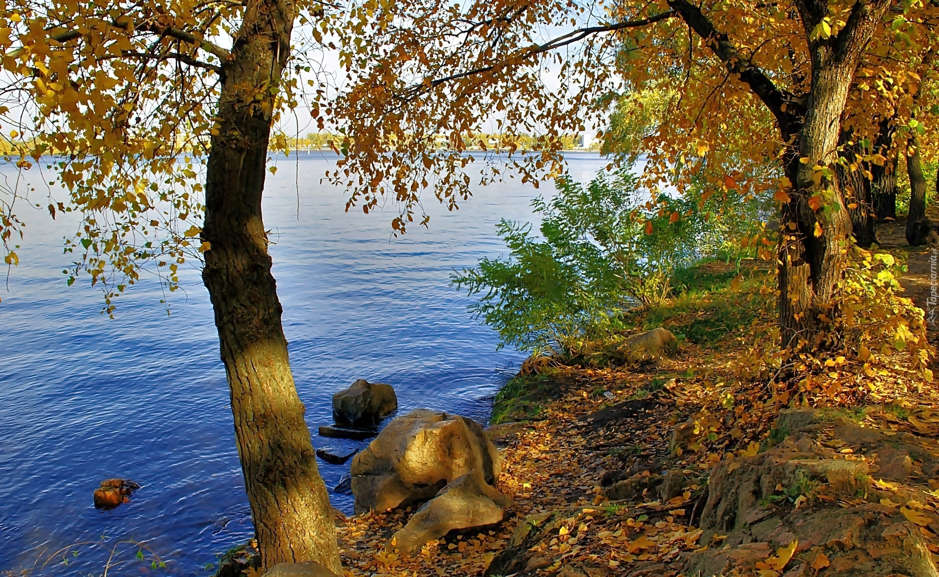 Jezioro, Brzeg, Drzewa, Głazy