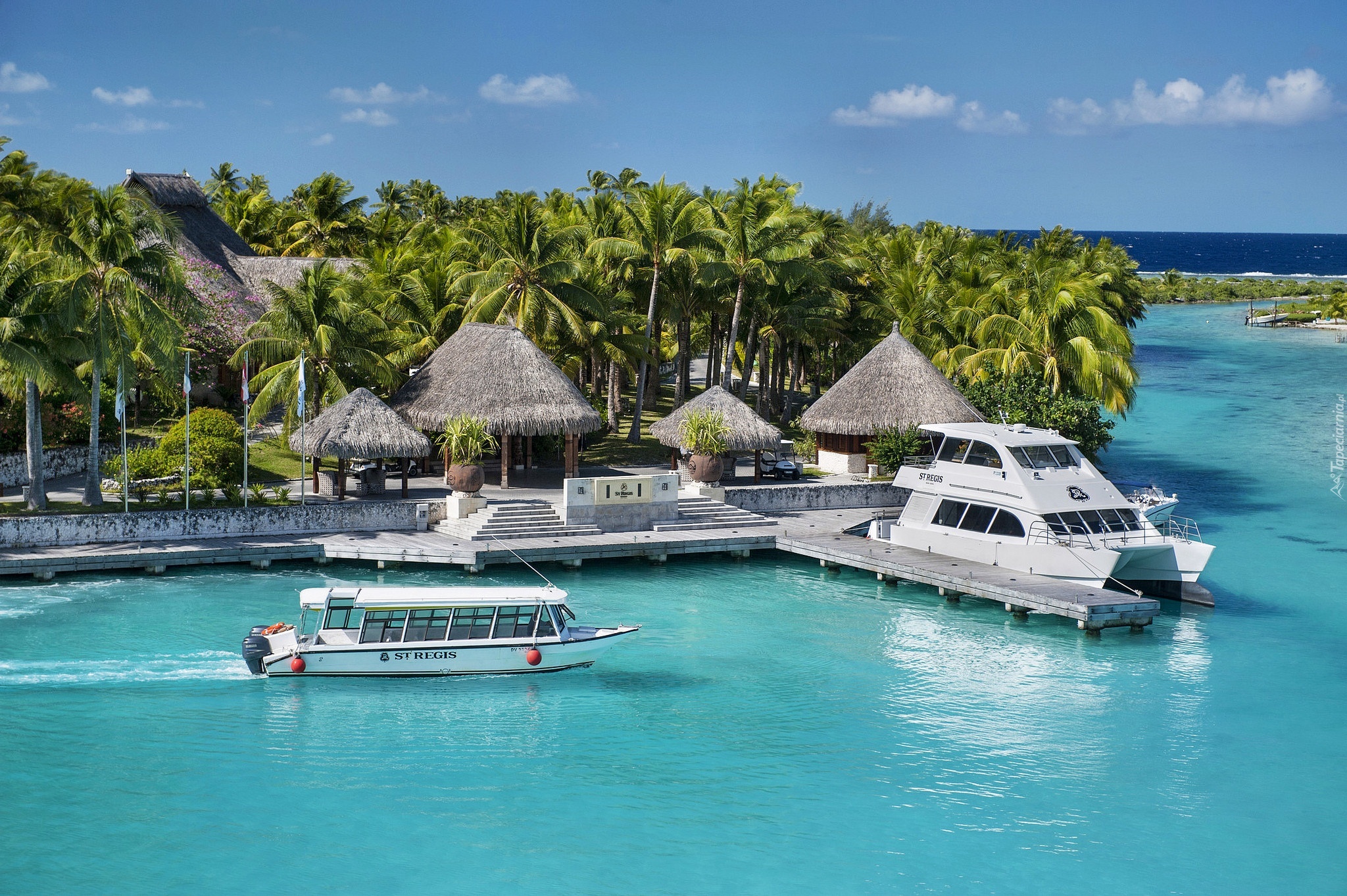 Ocean, Łodzie, Palmy, Kurort, St Regis, Bora Bora