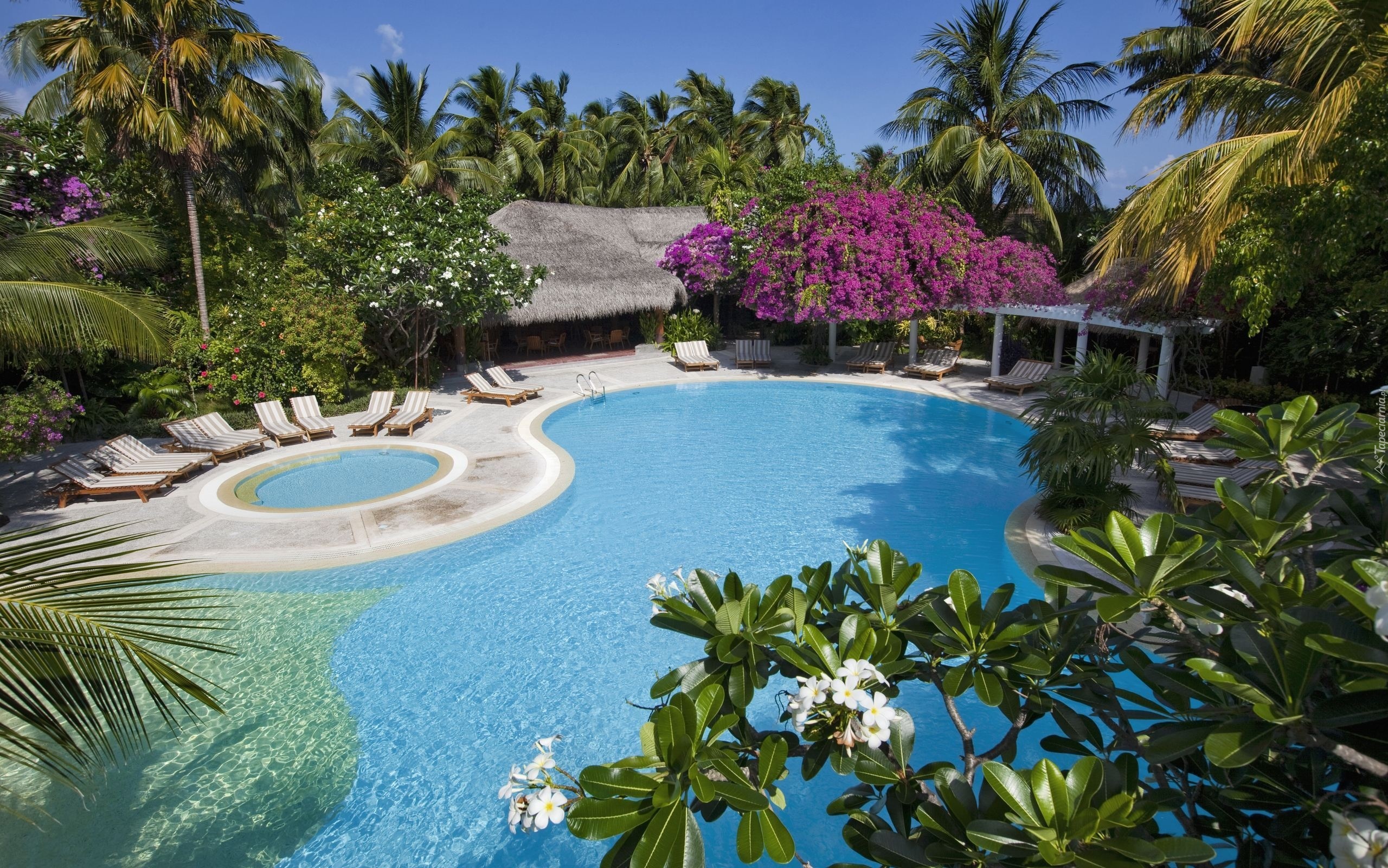 Hotel, Basen, Malediwy