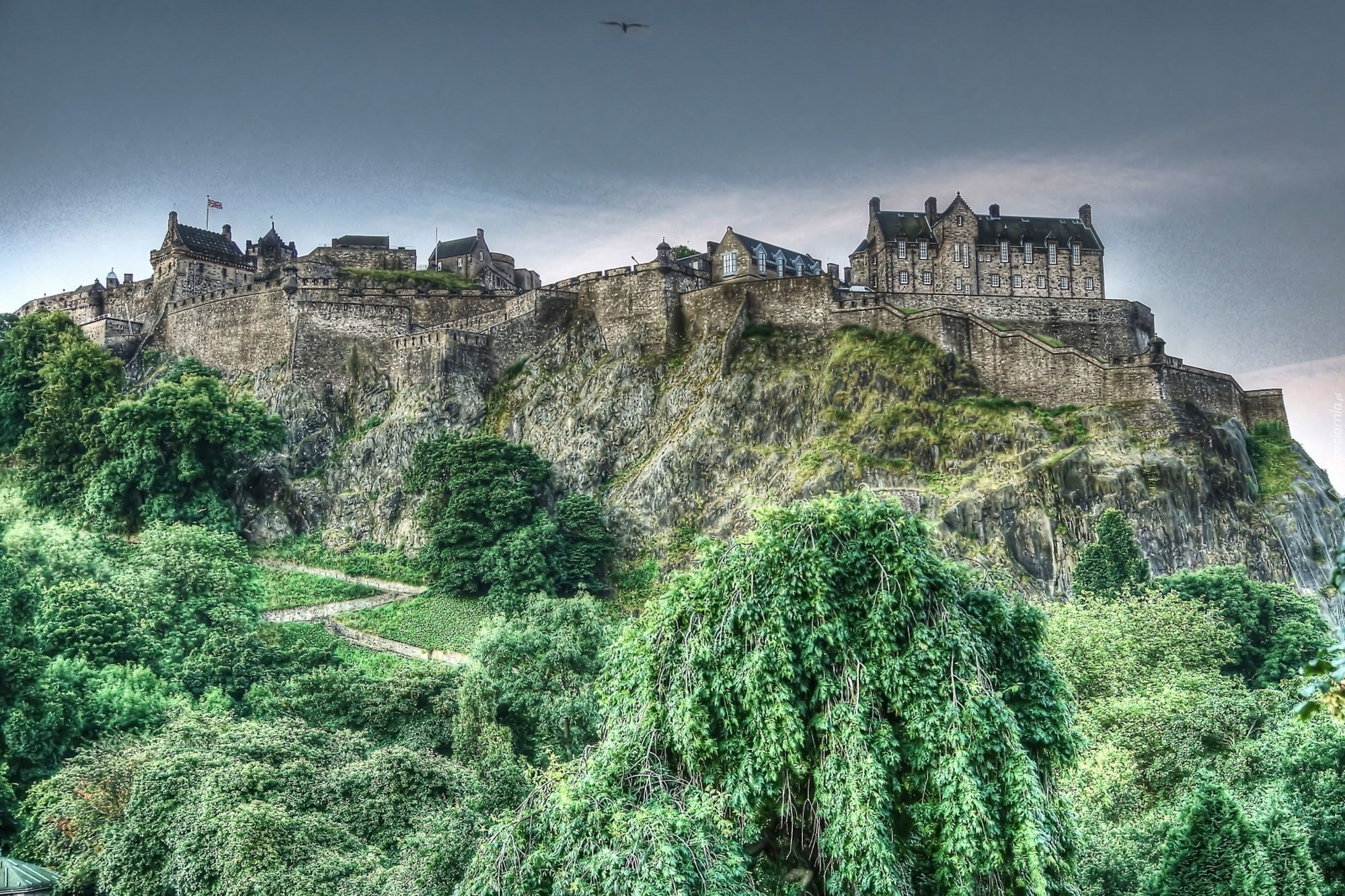 Zamek w Edynburgu, Edinburgh Castle, Szkocja, Edynburg, Skały, Drzewa