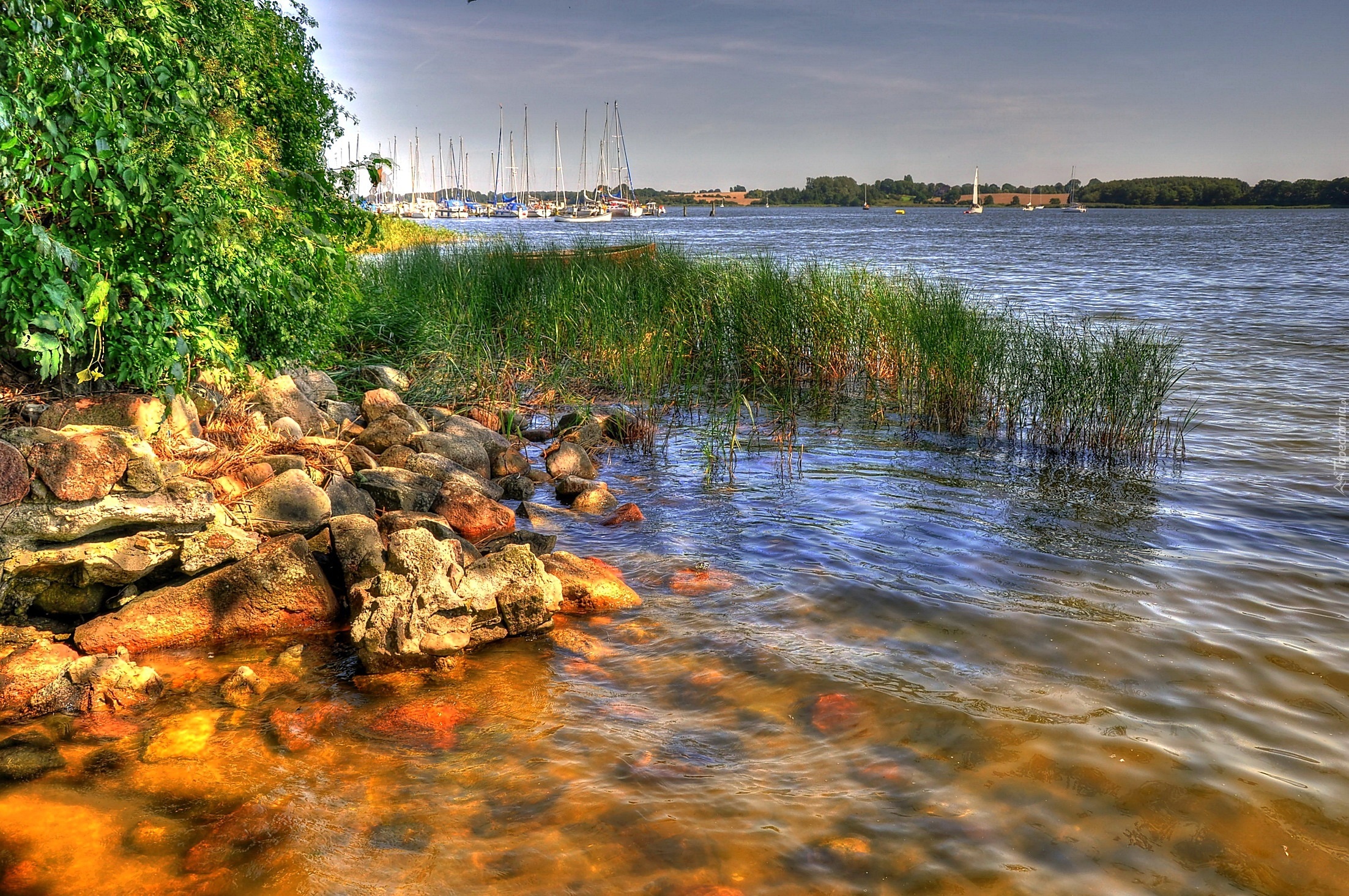 Jezioro, Brzeg, Kamienie, Szuwary