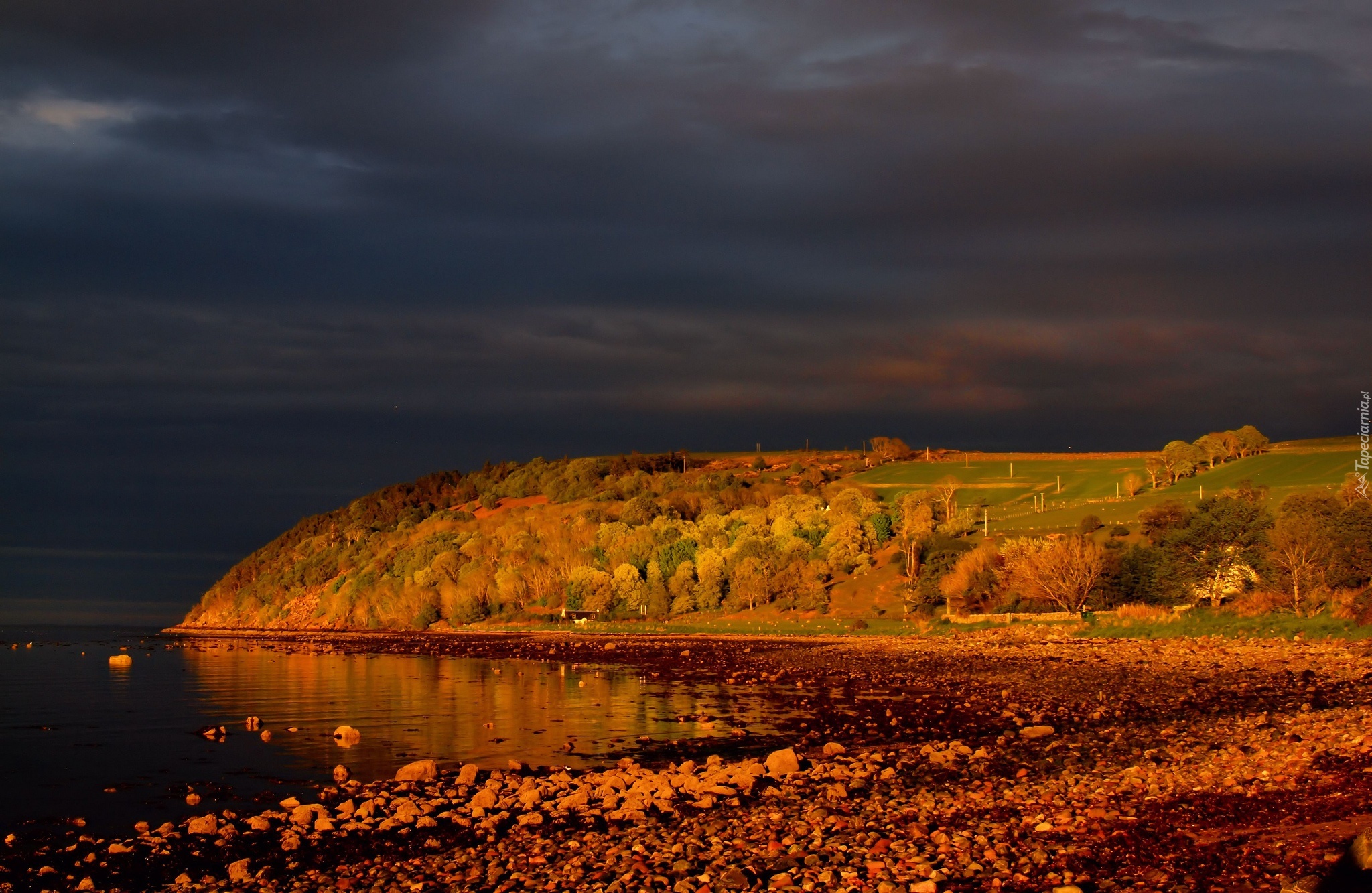 Zatoka, Cromarty, Firth, Szkocja