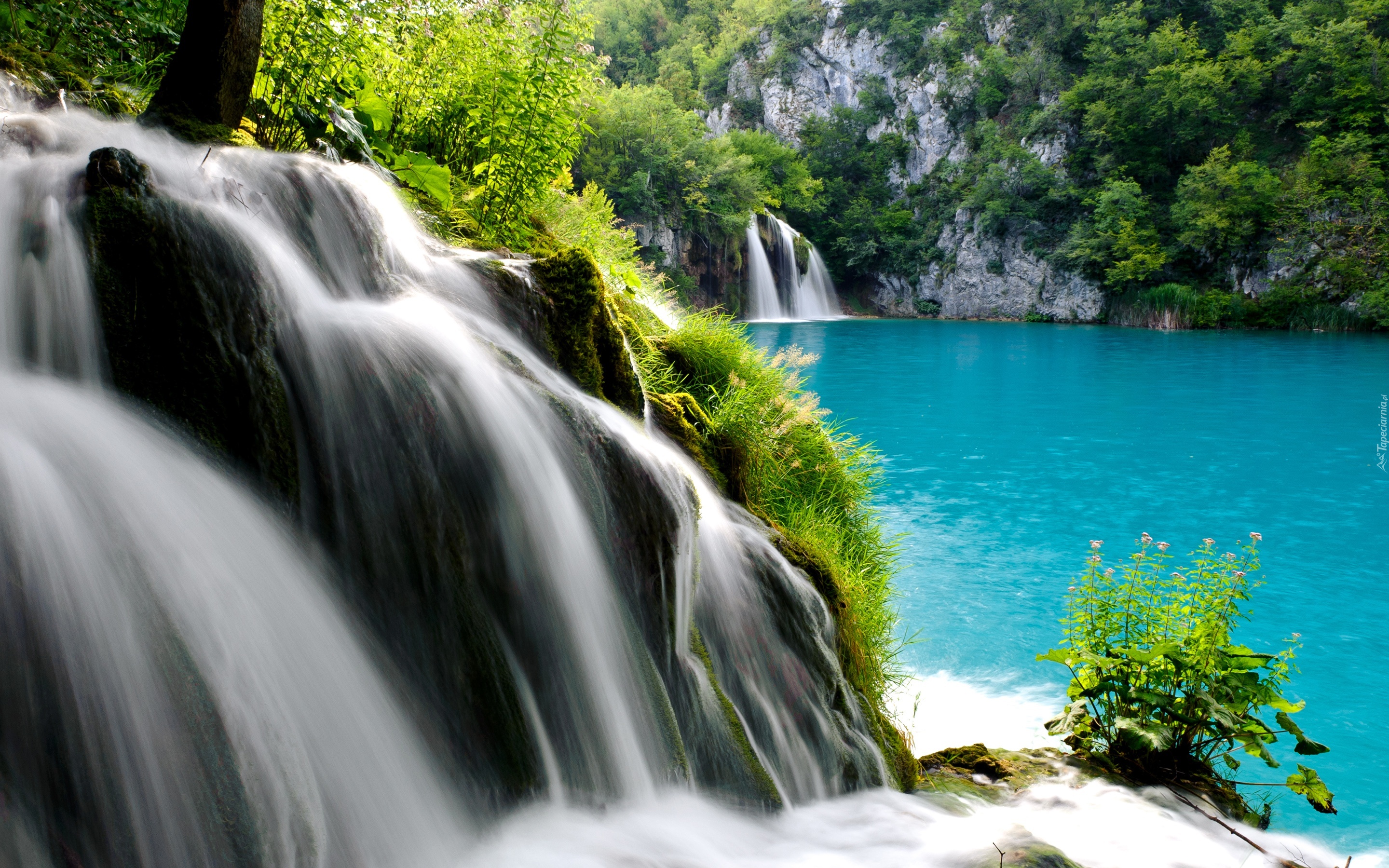 Las, Jezioro, Wodospady