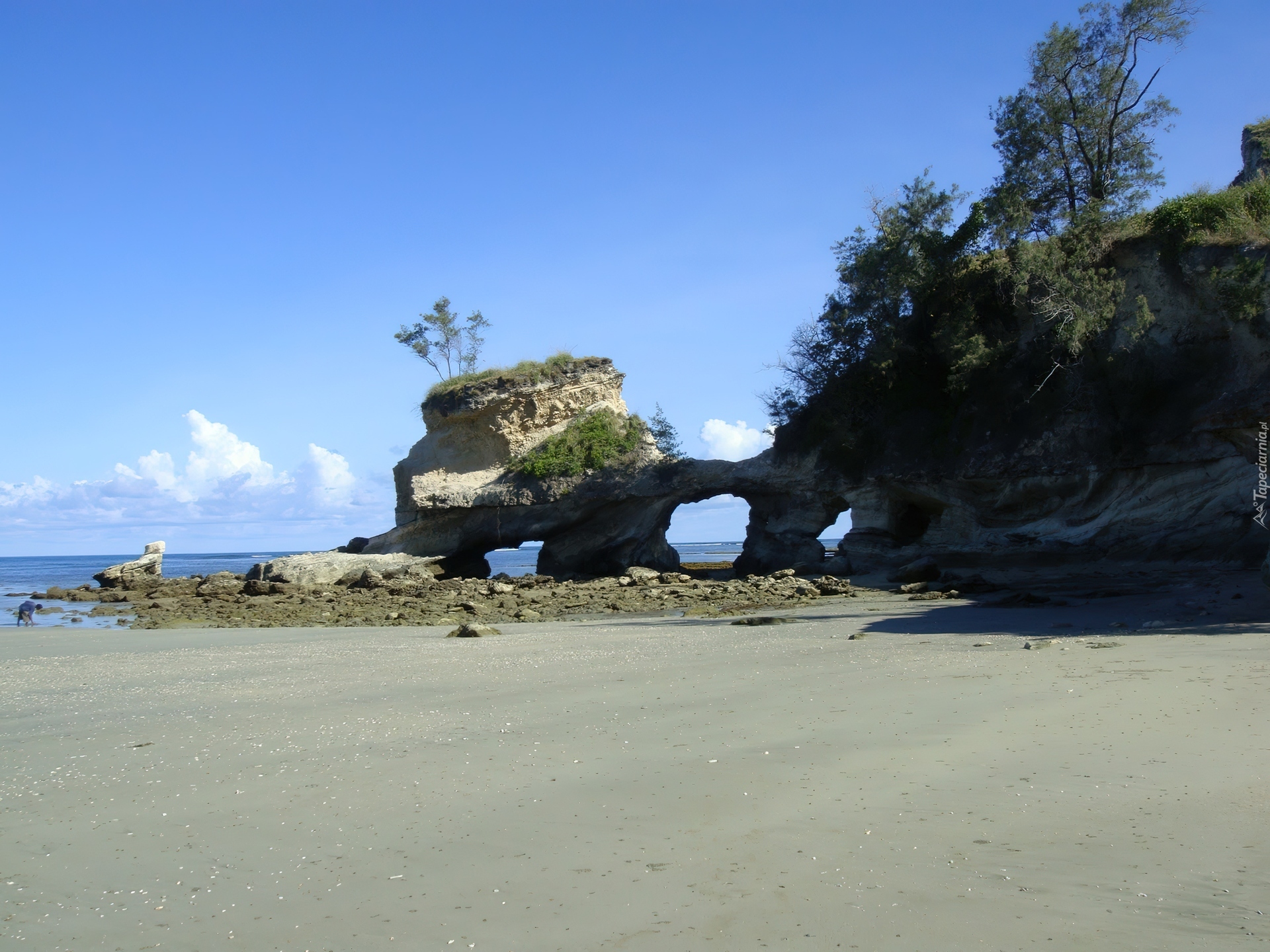 Wybrzeże, Skały, Kamienie, Plaża, Drzewa