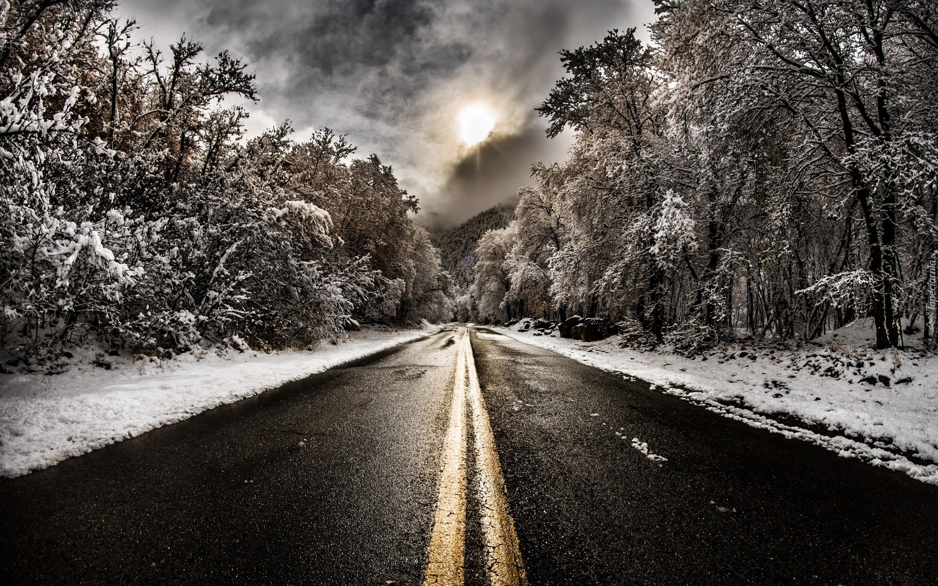 Droga, Drzewa, Śnieg, Słońce