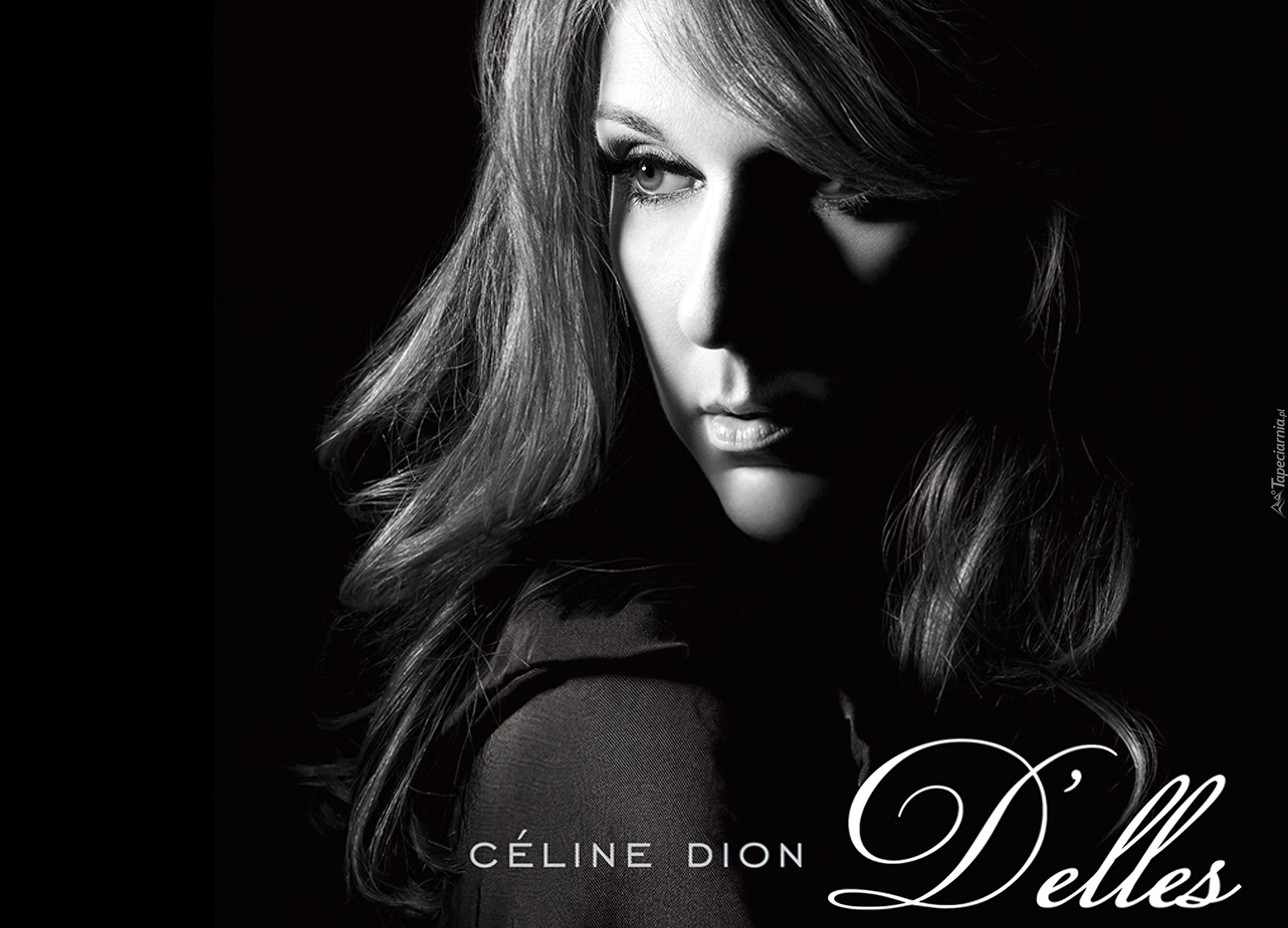 Celine Dion, Piosenkarka