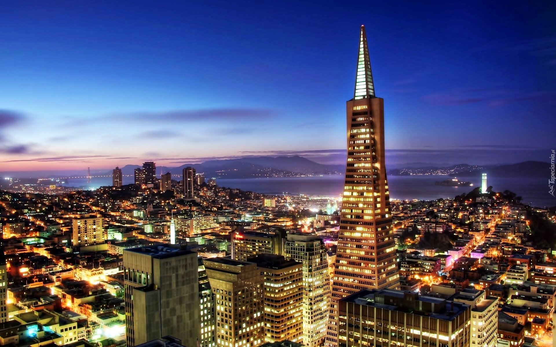 Panorama, San, Francisco, Nocą, Transamerica, Pyramid