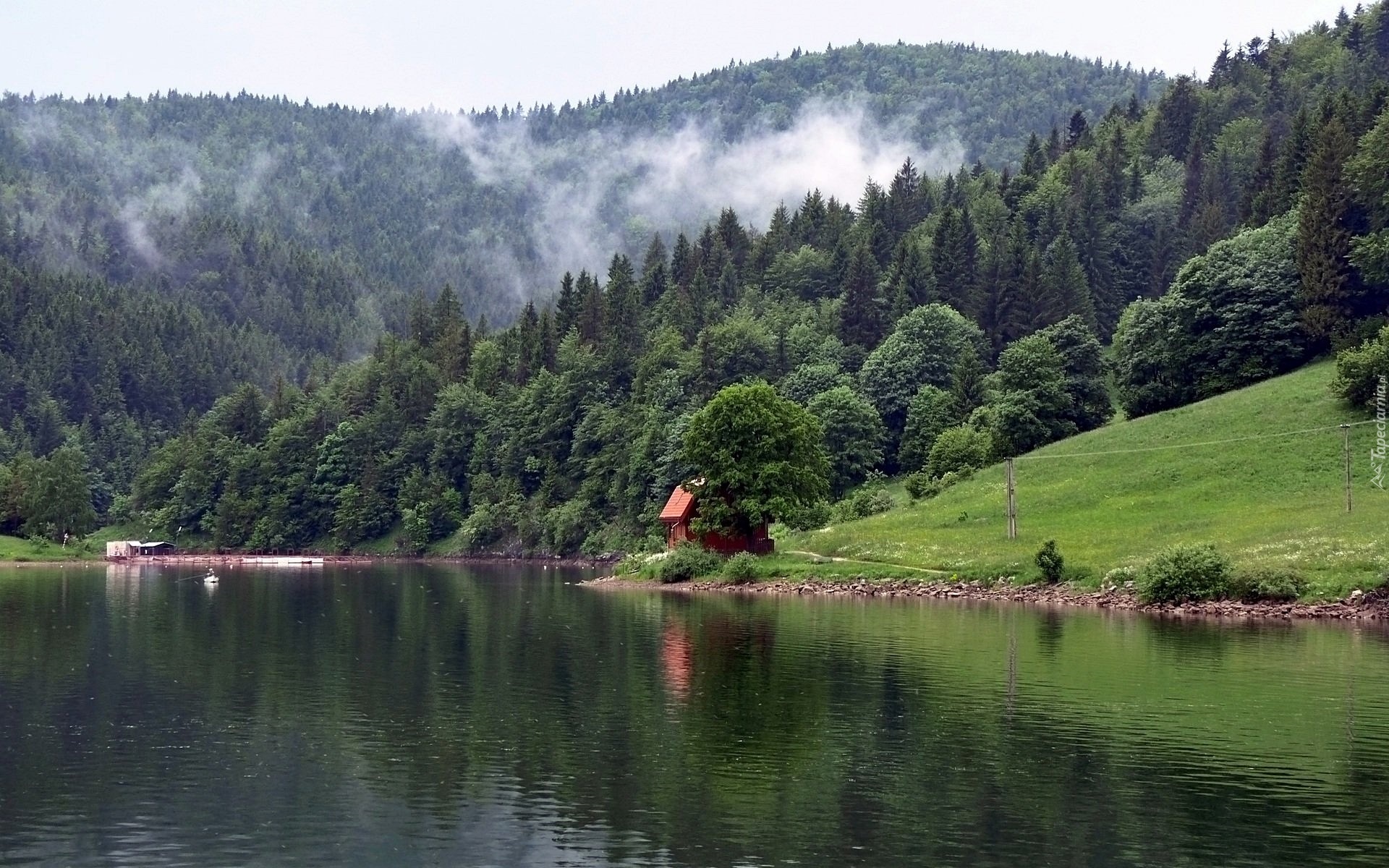 Góry, Karpaty, Rzeka, Lasy, Dom
