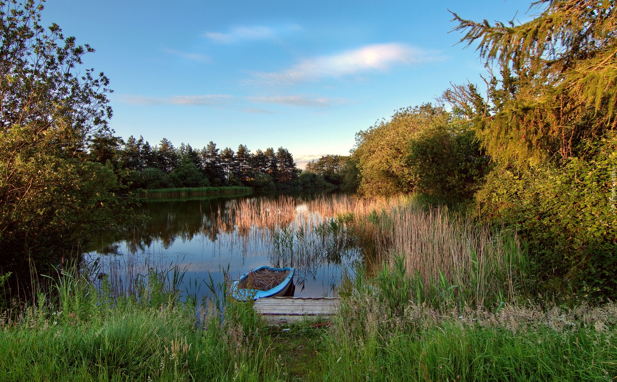 Jezioro, Szuwary, Łódka