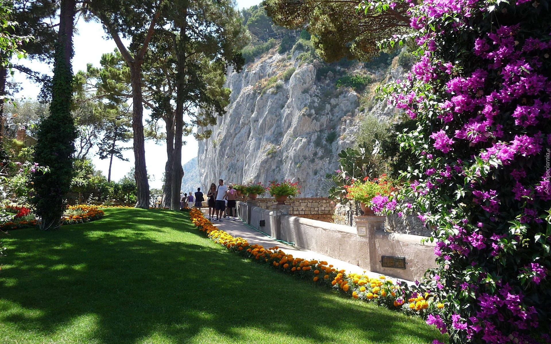 Park, Skała, Kwiaty, Spacerowicze, Capri, Włochy