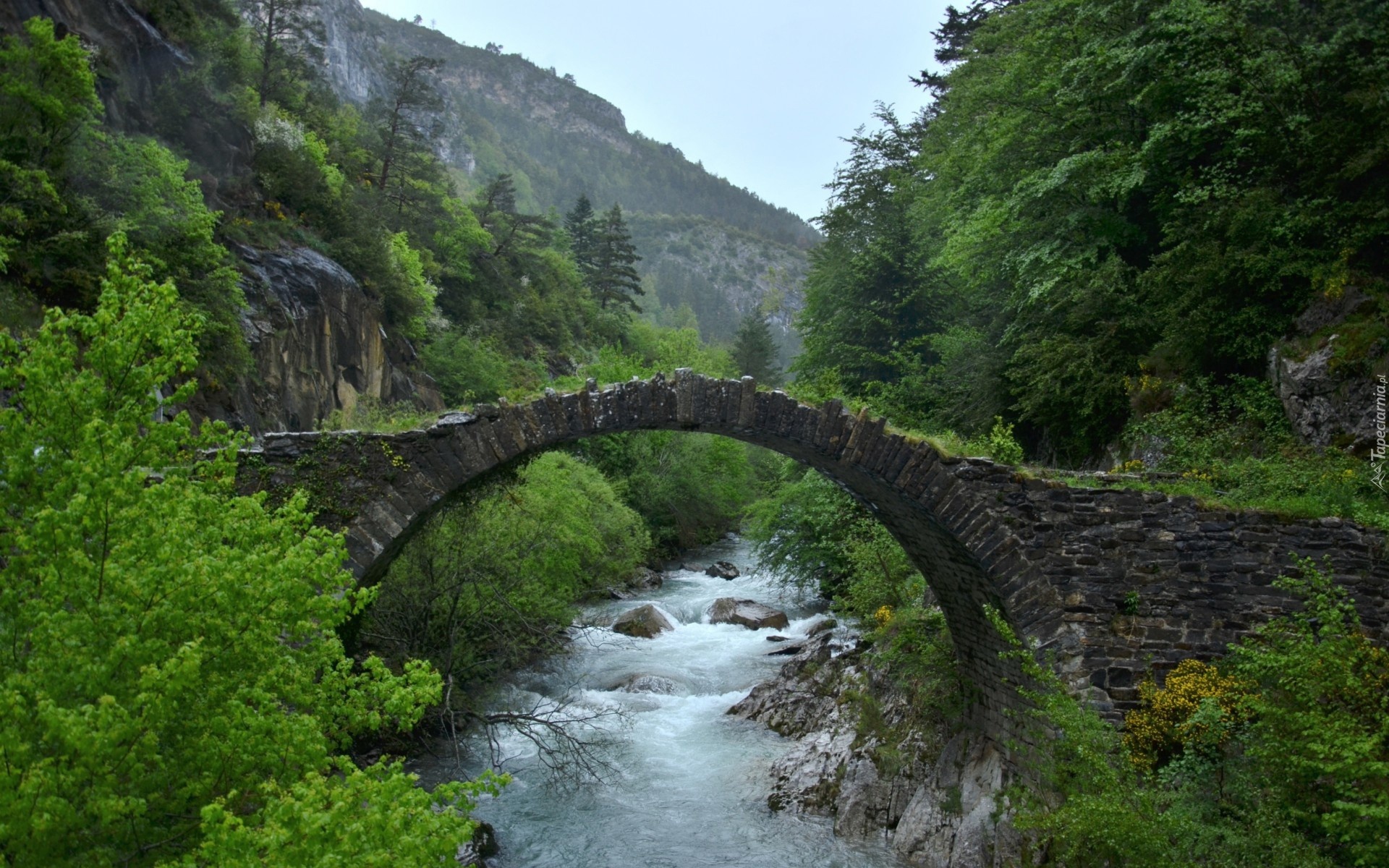 Rzeka, Most, Góry, Lasy