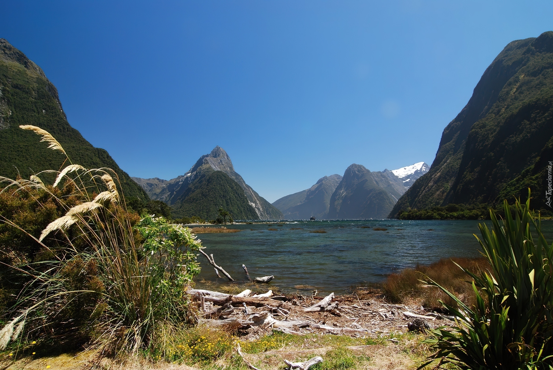 Jezioro, Góry, Milford Sound, Nowa Zelandia