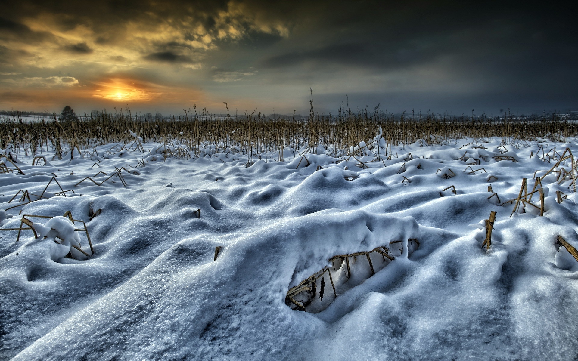 Pole, Śnieg, Zachód, Słońca