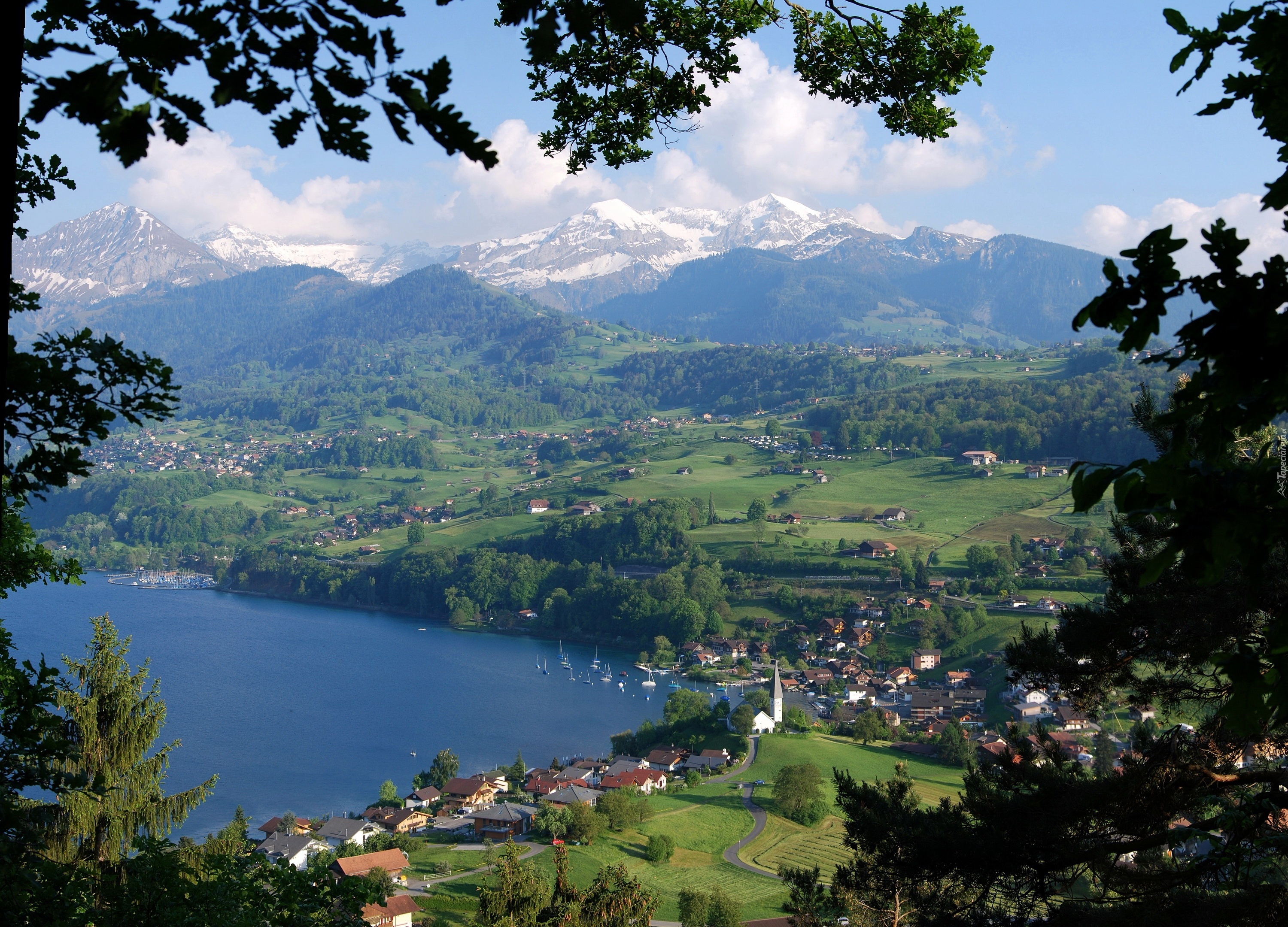 Jezioro, Góry, Lasy, Kurort, Panorama