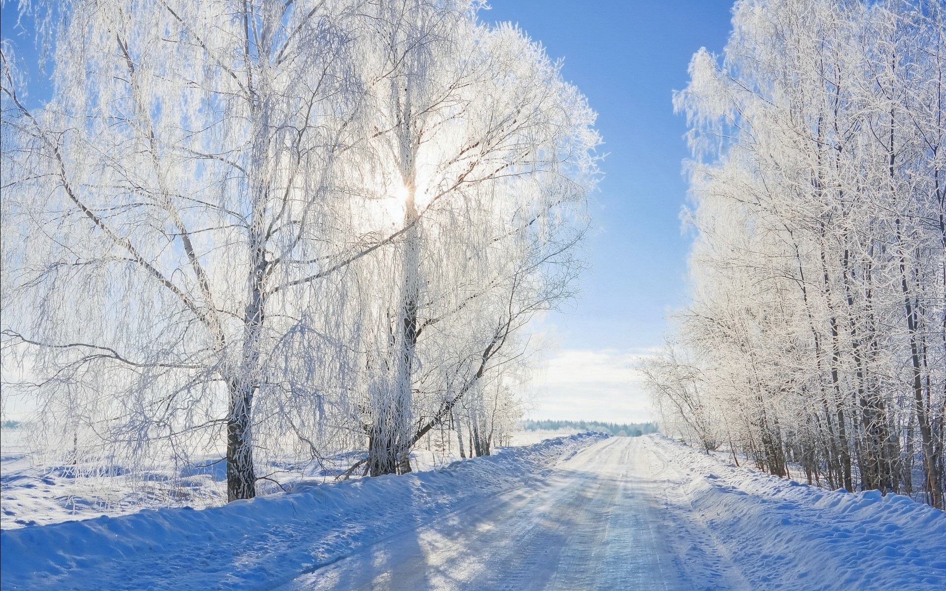 Zima, Drzewa, Droga, Przebijające, Światło