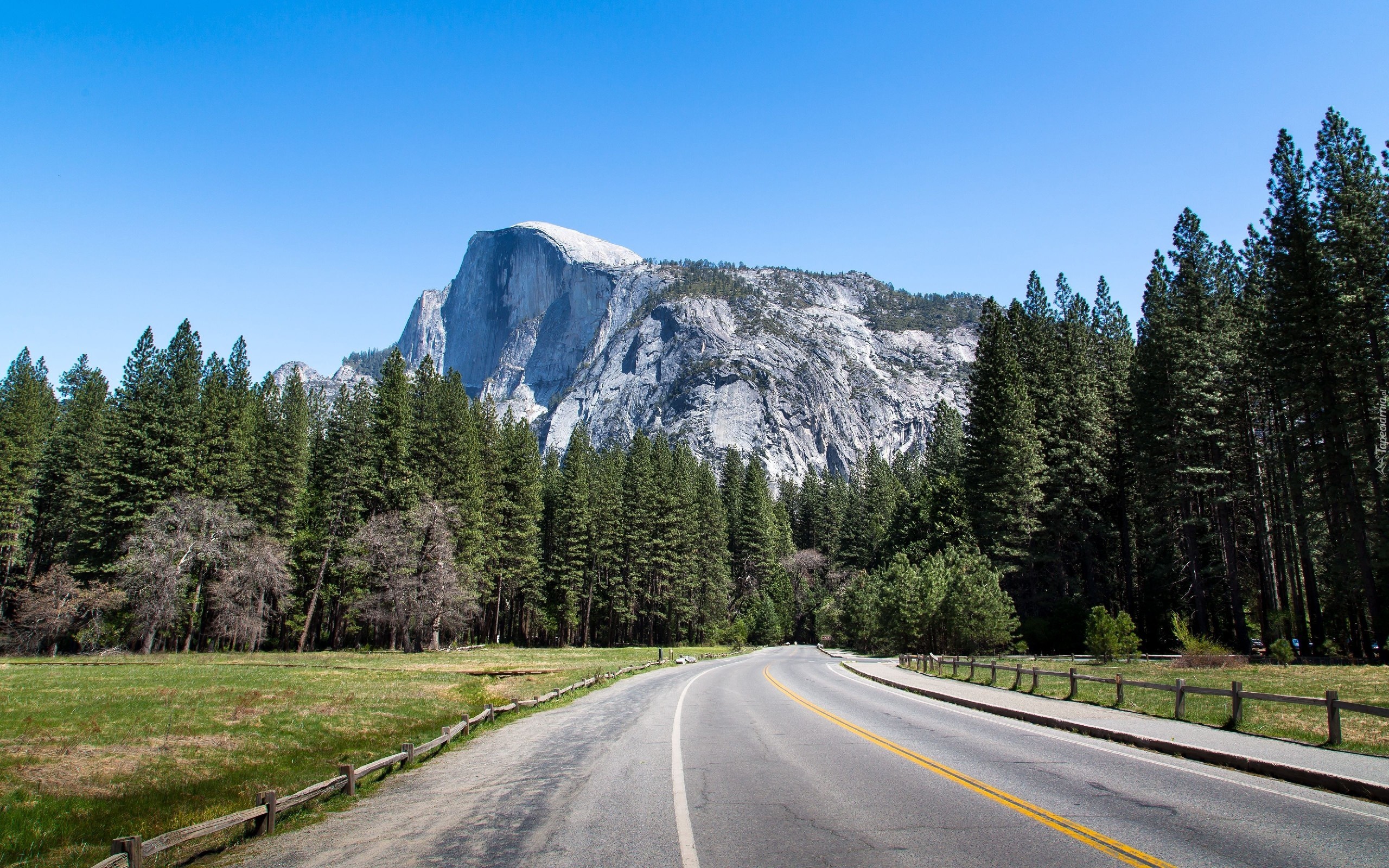 Stany Zjednoczone, Stan Kalifornia, Park Narodowy Yosemite, Góry, Lasy, Droga